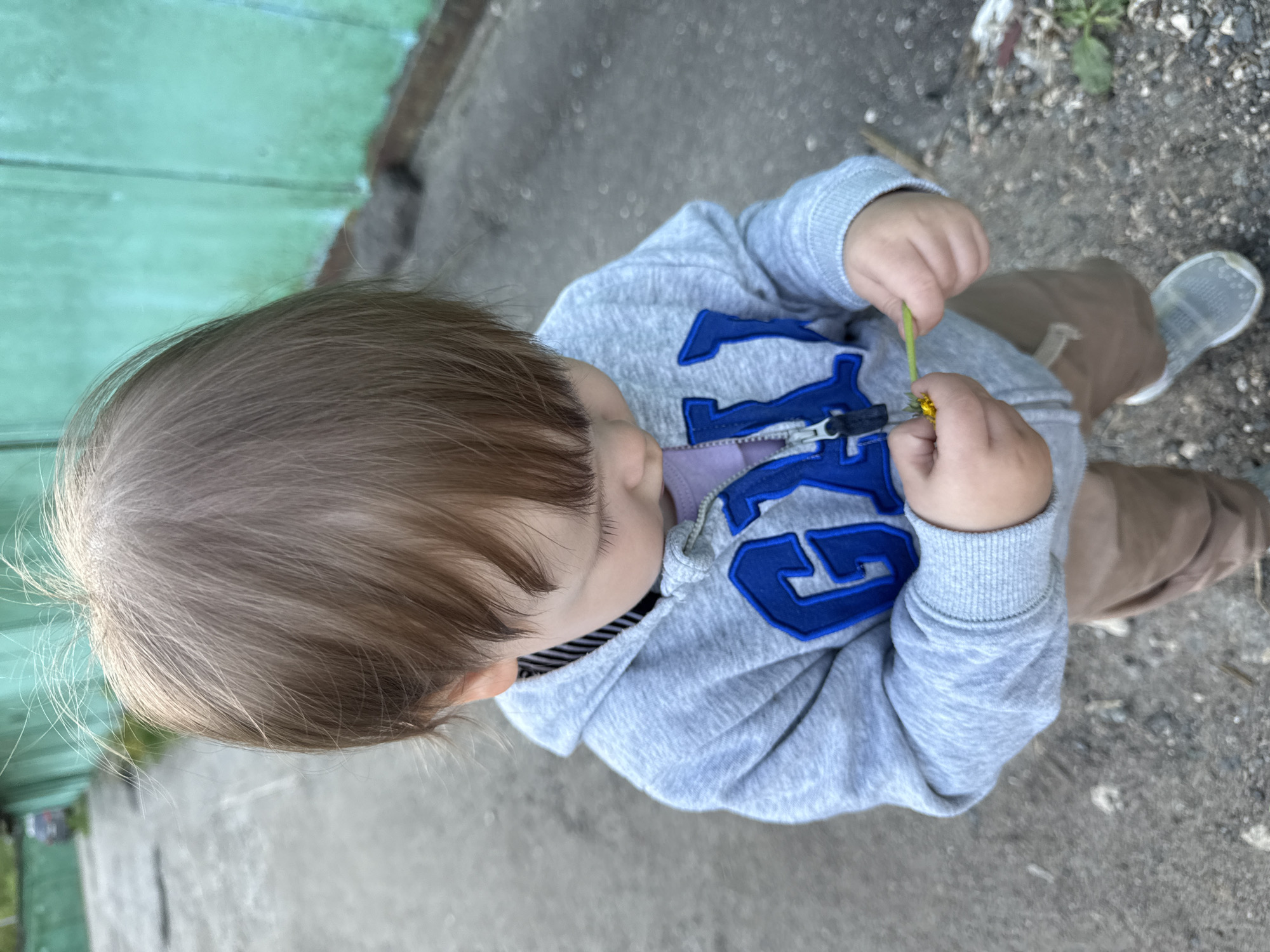 A small child stands on a concrete surface next to a green, possibly metal, wall. The child is wearing a grey hoodie with blue "GAP" lettering, brown pants, and grey shoes. They are holding a dandelion in their hands. The location is possibly a street or alleyway in Moscow, Russia. The specific elements of the environment are not identifiable, but the urban setting suggests the location.