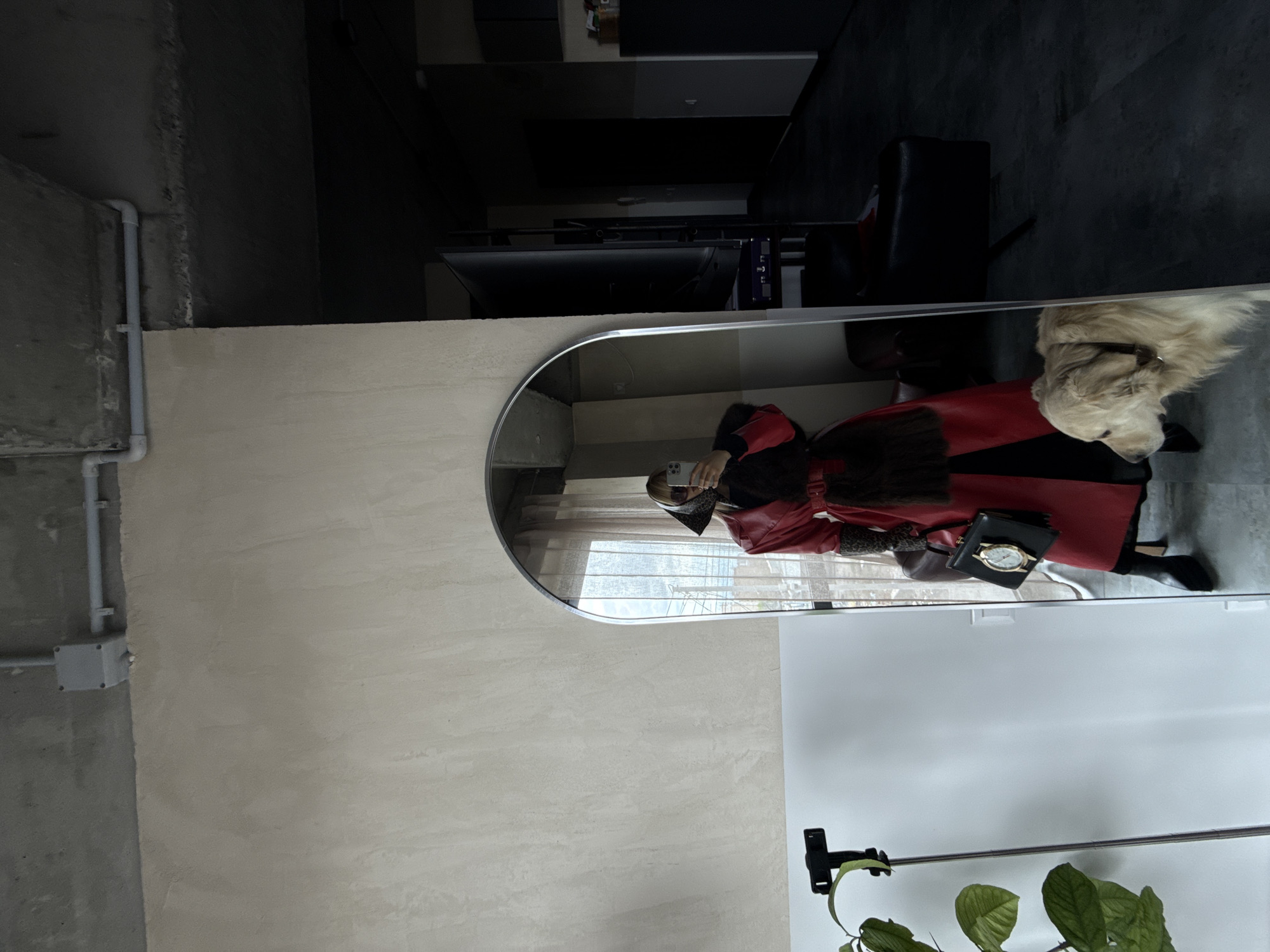 A slightly rotated indoor shot shows the reflection in a mirror of a person and a dog. The person is wearing a red and black coat with black boots and is holding a phone in their left hand. The person is looking at the phone, presumably taking a selfie. A black purse with a gold watch sits next to the person's leg. A dog is standing in the background to the right of the person. A plant is located to the lower right of the image. The environment appears to be an apartment or studio, based on the gray walls and general decor. The location may be Yerevan, Armenia.