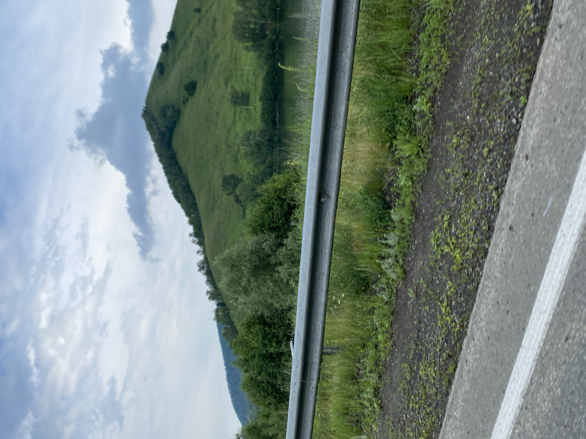 A scenic view of a lush green hillside rolling down to a calm body of water. A silver metal guardrail runs parallel to a dirt path covered in grass and small stones, separating it from the hillside. The hillside is dotted with scattered trees and appears to be a natural, undeveloped landscape. The sky is overcast with large, fluffy clouds, suggesting a cloudy day. The photo is taken from a roadside perspective, with a concrete road surface and white lines visible in the foreground on the right side of the image. The overall impression is one of natural beauty and a peaceful, rural setting. The image is oriented vertically.