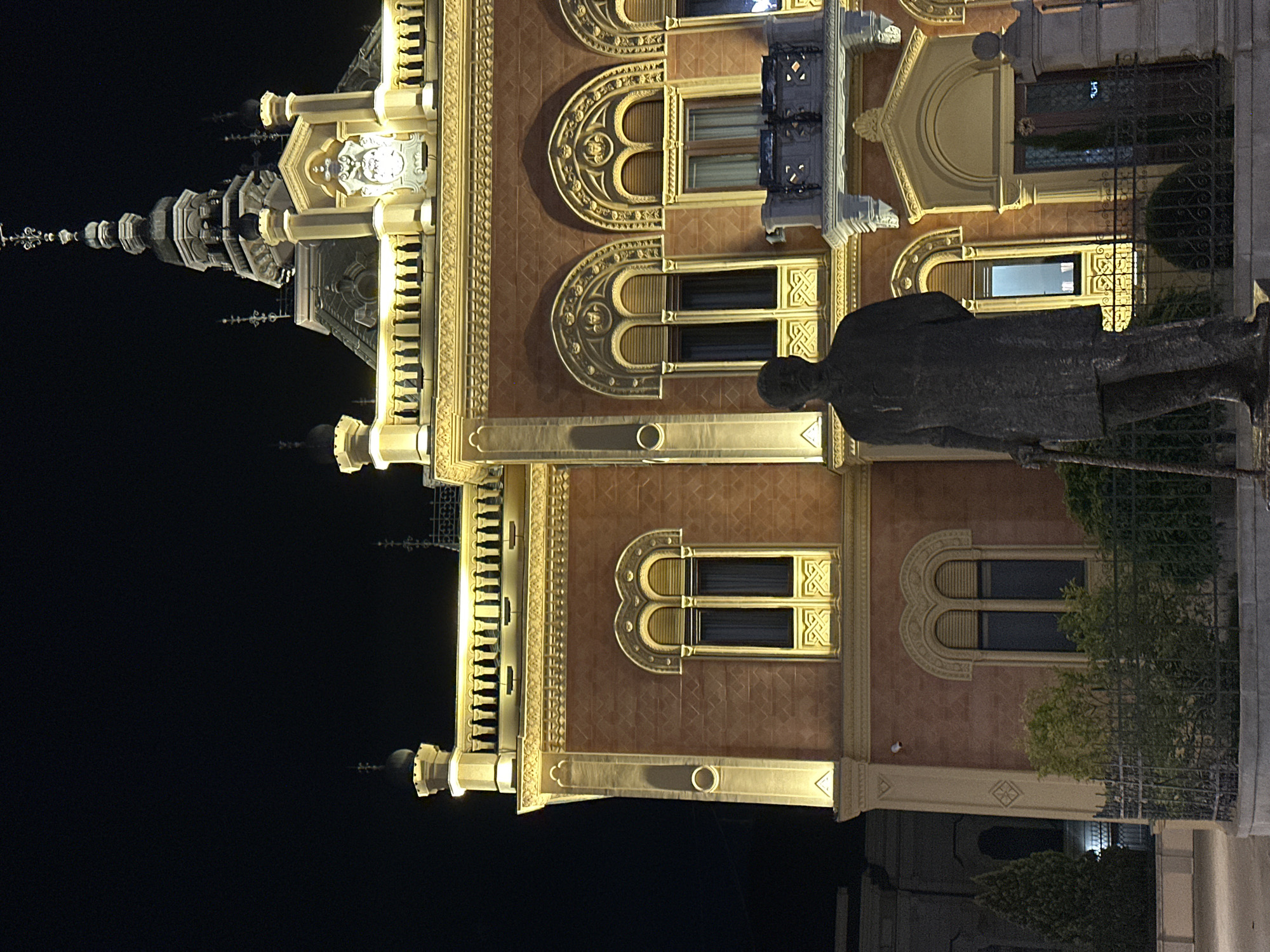 The image displays a grand, ornate building illuminated at night, likely in Novi Sad, Serbia, against a dark sky. The building exhibits a warm, reddish-brown facade adorned with elaborate golden-lit architectural details. Multiple arched windows, some featuring distinct 'B'-shaped decorative frames and dark panes, are visible across its surface. A prominent feature is the tall, multi-tiered spire or tower rising on the left side, topped with smaller finials and intricate carvings. Below the roofline, decorative cornices, columns, and what appears to be a sculpted emblem or crest are highlighted by the golden lighting.
In the foreground, to the right, stands a dark, weathered statue of a man, possibly made of bronze, depicted in a long coat. He faces towards the building. A dark, ornate metal fence with intricate patterns runs horizontally in front of the building, partially veiled by green foliage at its base. The scene captures the majestic architecture at night, emphasizing its historical and decorative elements through dramatic artificial illumination. No discernible text is visible within the frame.