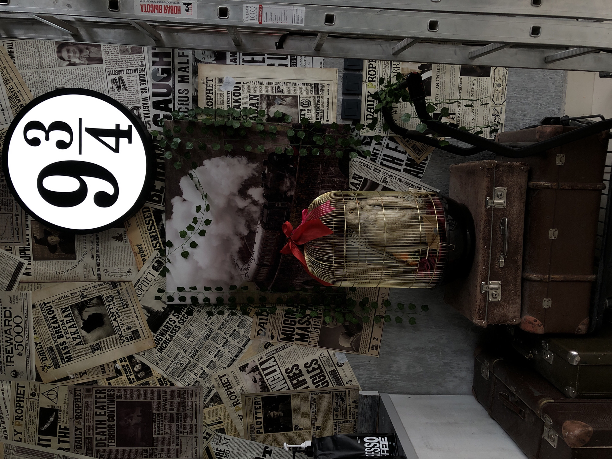 The image depicts a themed display, likely a store or event decoration, inspired by the Harry Potter universe, featuring numerous newspaper clippings styled after The Daily Prophet. Prominently displayed is a circular sign with the "9 ¾" platform number. A golden birdcage containing a stuffed owl with a red ribbon is positioned on top of vintage suitcases. Green artificial ivy is draped around the display. To the right, a silver ladder stands against a wall covered in the newspaper clippings. The background appears to be a textured wall. There are no individuals visible in the scene. The image does not contain any information or visual cues that would allow for the identification of the city of Izhevsk, Russia.