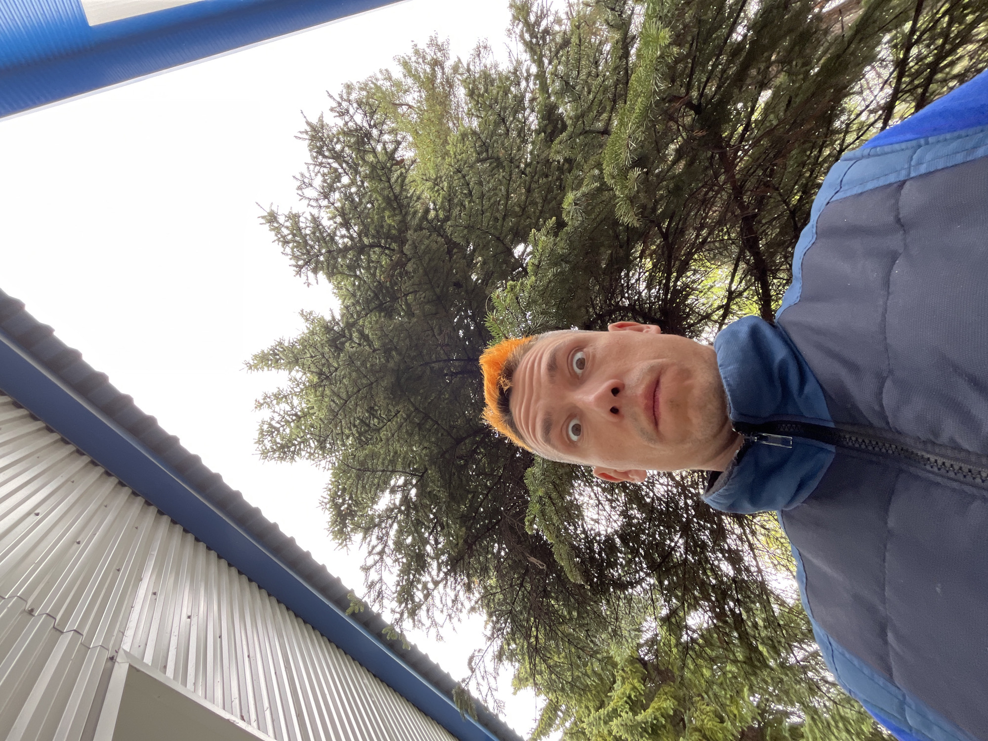 The image is an upward-angled selfie taken outdoors, presumably in or near Chaikovsky, Russia. A man with short, orange-dyed hair is the central subject, his face displaying a surprised or slightly apprehensive expression. He is wearing a dark blue vest with blue trim. Behind him, a large coniferous tree fills much of the upper frame, suggesting a natural environment. To the left, a corrugated metal building with a blue trim is visible, providing an urban or industrial contextual element. The sky is overcast, giving the scene a diffused, flat lighting. The overall composition suggests the man is standing near a building, possibly within a park or green space in an urban setting.