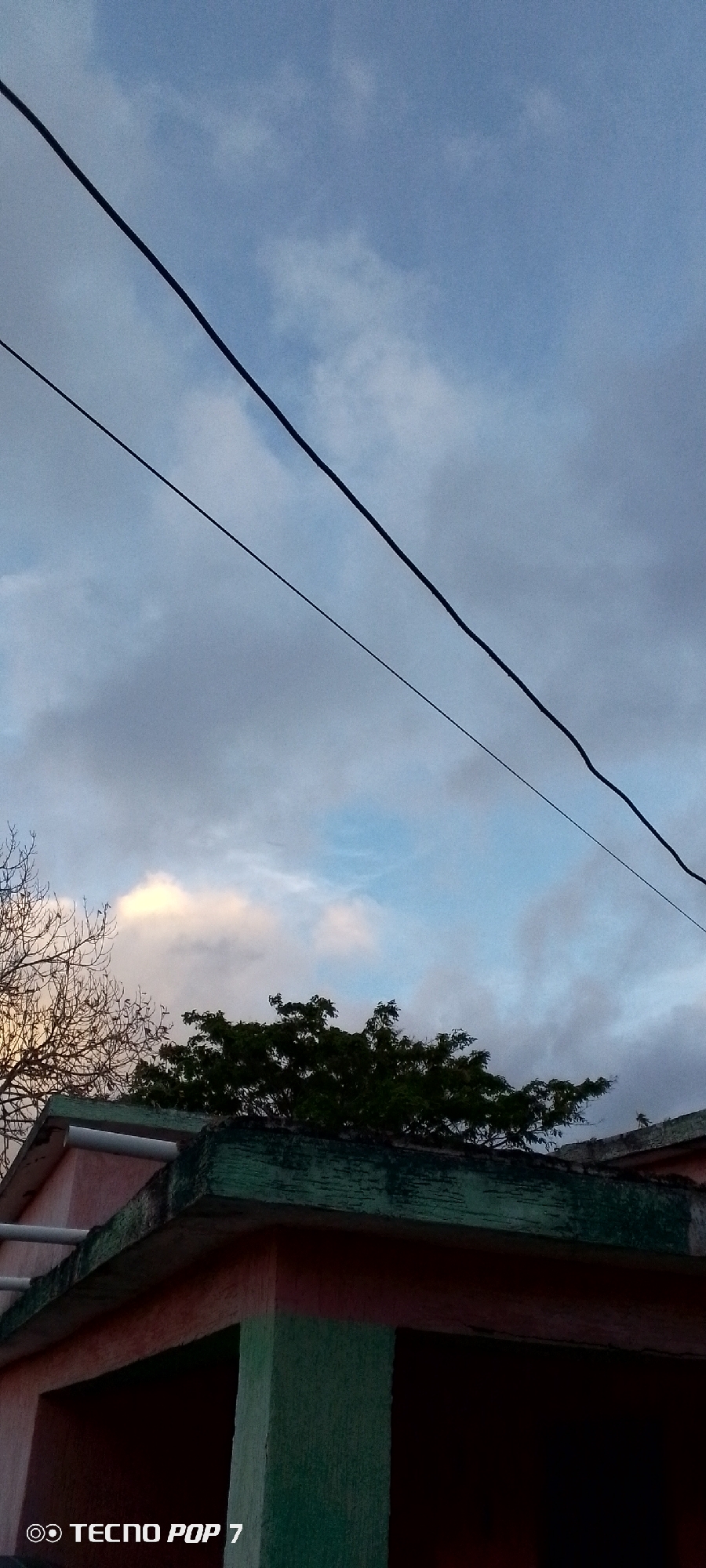 The image captures a view looking upwards towards a cloudy sky, bisected by two dark power lines. In the foreground, the upper portion of a pink and green building is visible. To the left, the bare branches of a leafless tree are silhouetted against the sky. To the right, the dark green foliage of a leafy tree partially obscures the sky above the building. The bottom left corner of the image contains the text "TECNO POP 7", indicating it is likely a photograph taken with that device. The scene suggests an outdoor setting in a residential or urban area of Altagracia, Venezuela, during daytime, possibly at dawn or dusk given the cloud cover and lighting. There are no people or discernible actions depicted.