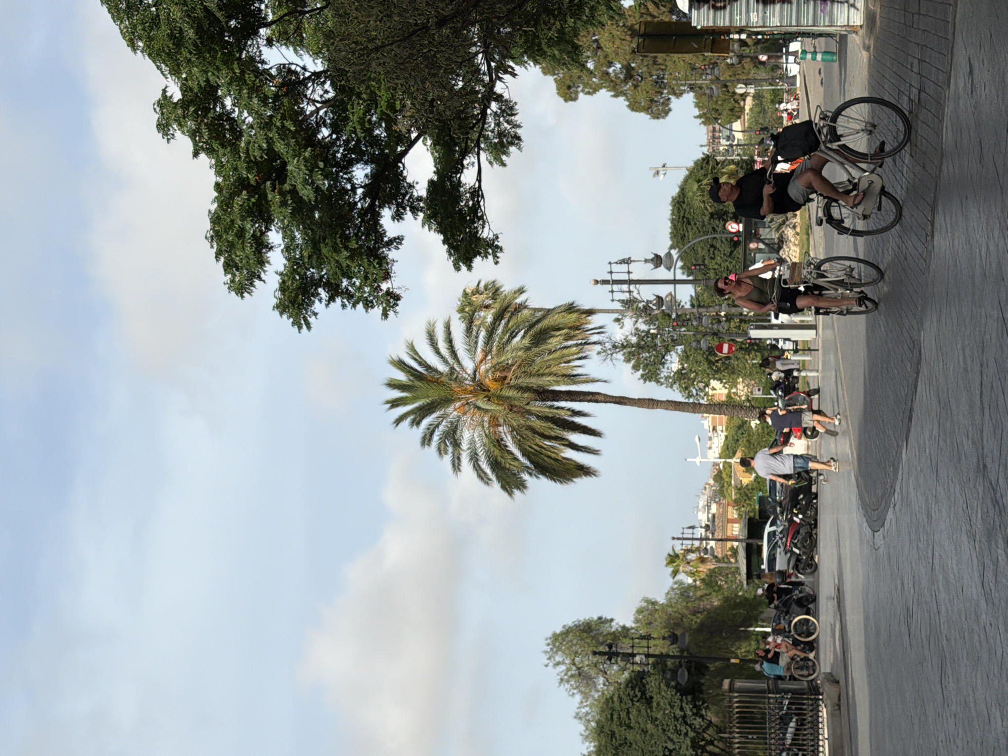 A street scene unfolds in an urban environment with a clear sky and scattered clouds. A prominent palm tree stands in the mid-ground, flanked by lush green trees. A group of people are engaged in various activities: two individuals are cycling on the right side of the frame, a man and a woman, both on bicycles. Further to the left, another person is cycling, and several other individuals are seen near parked motorcycles and cars, suggesting a public space or thoroughfare. The street is paved with textured blocks, and lampposts line the area. In the background, buildings are visible, indicating a city setting. The overall impression is one of everyday urban life with recreational activities taking place outdoors.