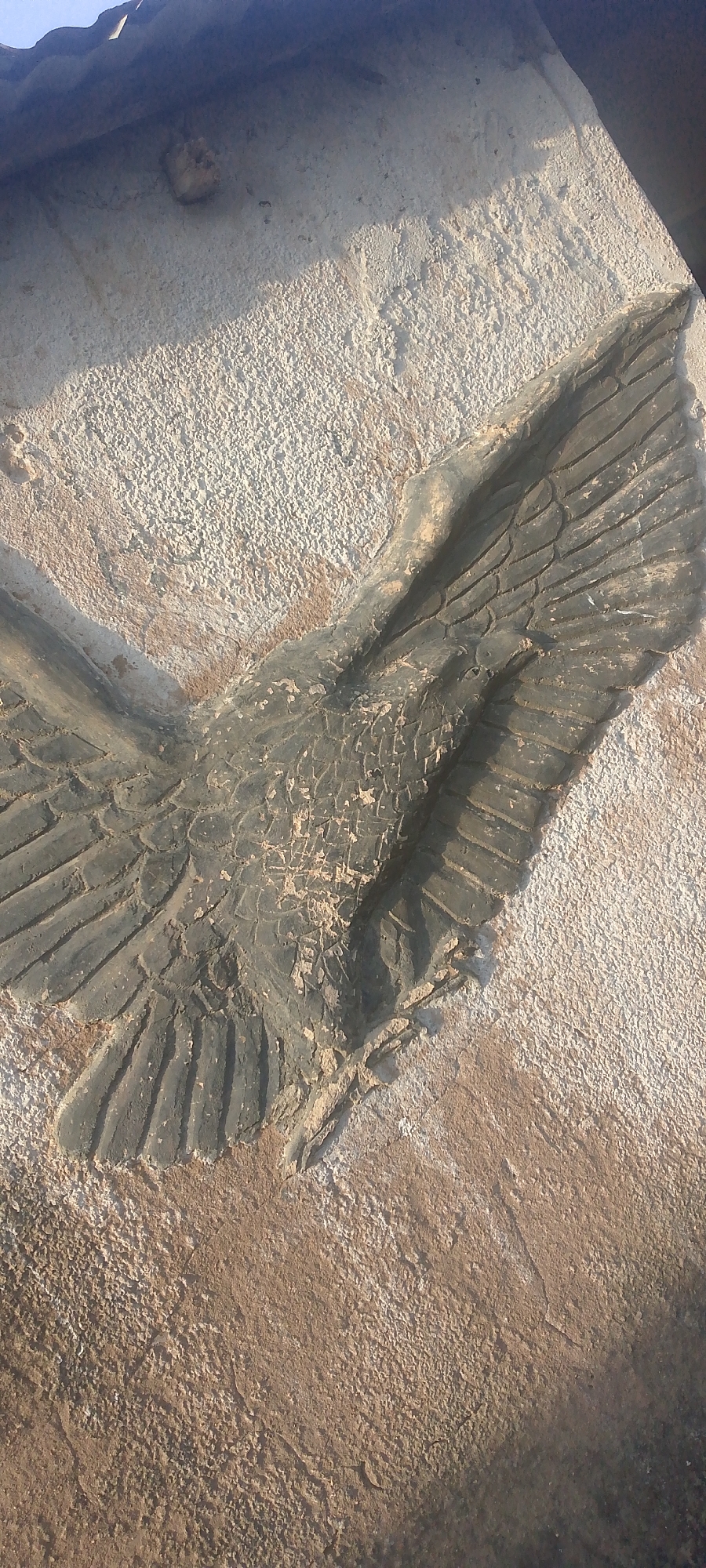 This media file shows a close-up view of a carved relief of an eagle's wing. The carving is dark gray and appears to be made of stone or a similar material, with intricate details representing feathers. The wing is spread out, suggesting movement or flight. The background is a rough, textured surface, possibly a wall or a large stone, with a lighter, granular texture. There are areas of shadow and light, indicating the time of day and the direction of the sun, likely mid-morning or late afternoon due to the angle of the shadows. The setting appears to be outdoors, given the natural lighting and the rough, weathered appearance of the background material. No people are visible in the frame, and no text is present. The focus is entirely on the carved eagle's wing and its immediate surroundings. The overall impression is one of ancient art or a historical monument, possibly located in Jalingo, Nigeria, as suggested by the location context.