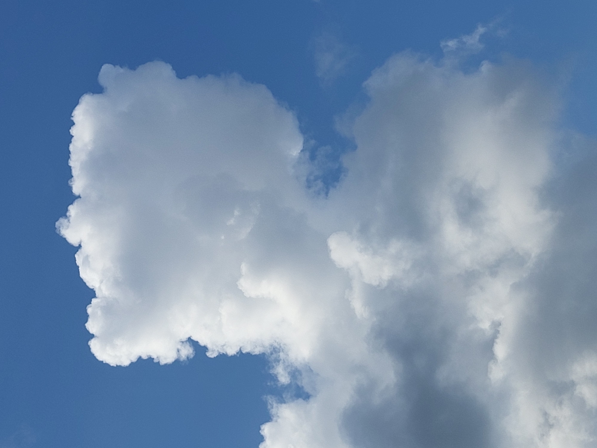 The image shows a cloudy sky with distinct cloud formations against a bright blue background. One prominent cloud in the upper portion of the image is large and white with a textured, bulbous top and a more defined, square-like lower section, resembling a profile of a head with a flat top. Below this, a mix of lighter white and darker grey clouds are visible, suggesting varying densities and possibly the beginnings of rain. The scene is a natural outdoor environment, characteristic of a daytime sky. There is no discernible city, urban features, or human presence. The location within the city of Ozolnieki, Latvia, is not evident from the image itself.
