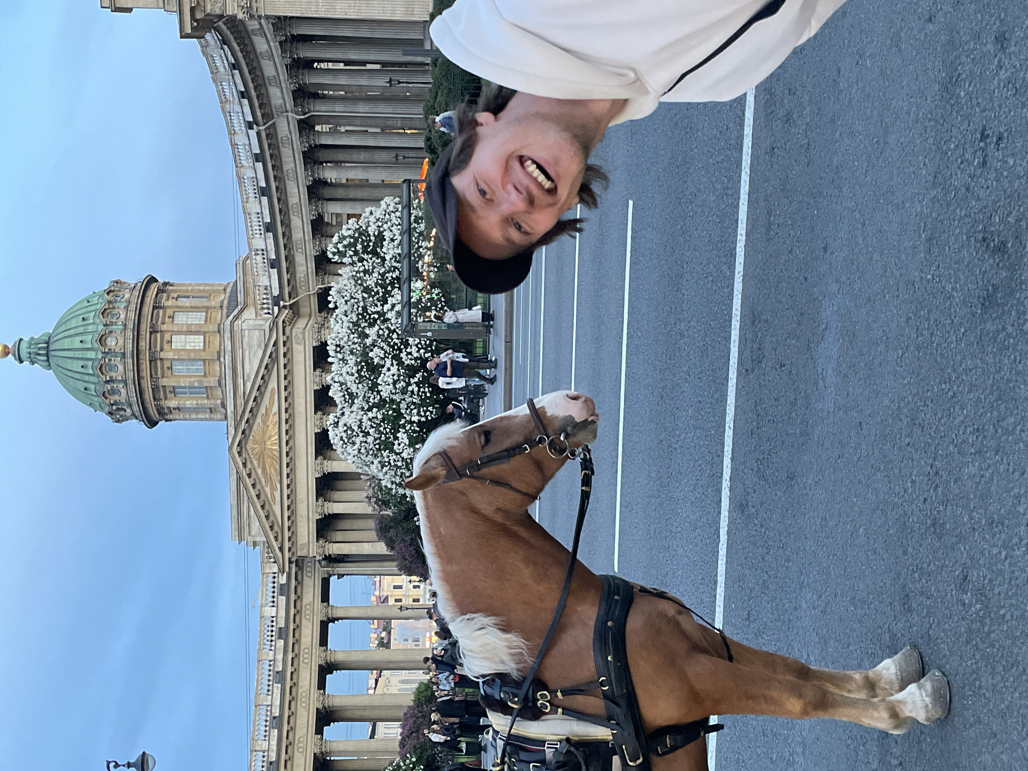 This street photograph, taken in Saint Petersburg, Russia, captures a vibrant scene featuring a smiling man, a harnessed horse, and a grand cathedral. The image is oriented sideways, with the man's head appearing at the top, upside down.
The main subject, a man with a fair complexion, wears a white long-sleeved shirt and a dark baseball cap. He smiles broadly at the camera, showing his teeth, and appears joyful and amused. Beneath him, a light brown horse with a white mane and tail stands on the asphalt road. It is equipped with a black leather bridle and harness, indicating it is prepared for a carriage ride. The horse faces towards the right of the frame, away from the camera.
In the background, the impressive neoclassical architecture of the Kazan Cathedral is prominent on the left. It features a striking green dome and a long, curved colonnade with numerous classical columns. In front of the cathedral, lush trees or shrubs are adorned with abundant white blossoms, suggesting a spring or early summer setting. Several smaller figures of people can be seen walking in the background near these trees. The street is asphalt with visible white lane markings. The sky is a clear, light blue, indicating a pleasant daytime, possibly late afternoon, atmosphere. No distinct text is visible in the image.