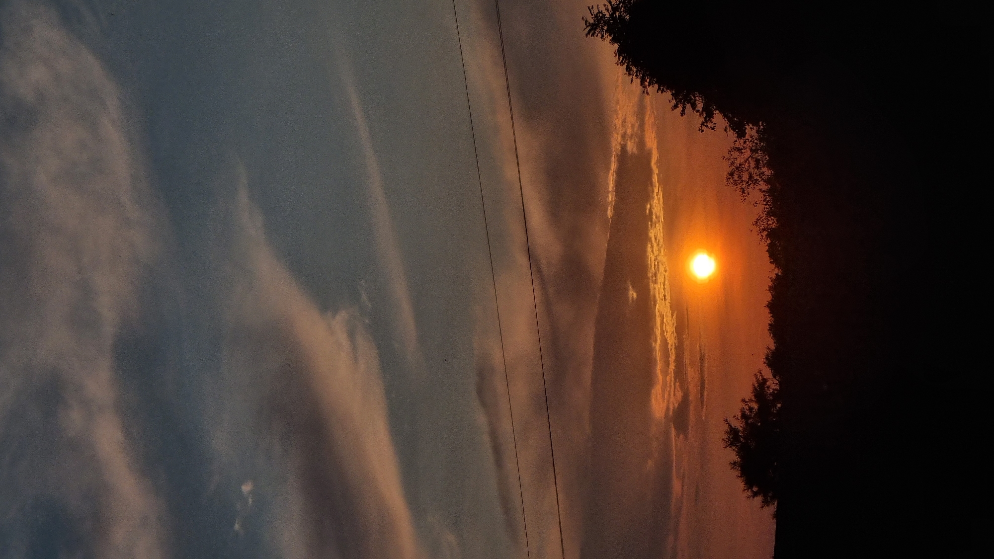 The image is a vertical, full-frame photograph of a sunset over a rural landscape. The sky is a gradient of colors, transitioning from a deep blue at the top to oranges and reds near the horizon. Scattered clouds, illuminated by the setting sun, add texture and depth. Two horizontal power lines stretch across the middle of the frame, silhouetted against the sky. In the foreground, the silhouette of a dense line of trees and vegetation forms a dark band across the bottom third of the image, with a few taller trees on the right side reaching into the sky. The sun itself is a bright, round orb positioned slightly left of center, casting a warm glow. The overall scene suggests a peaceful, natural setting, likely outside of the main urban areas of Vysokoe, Russia. There are no people or discernible human activity visible in the image.