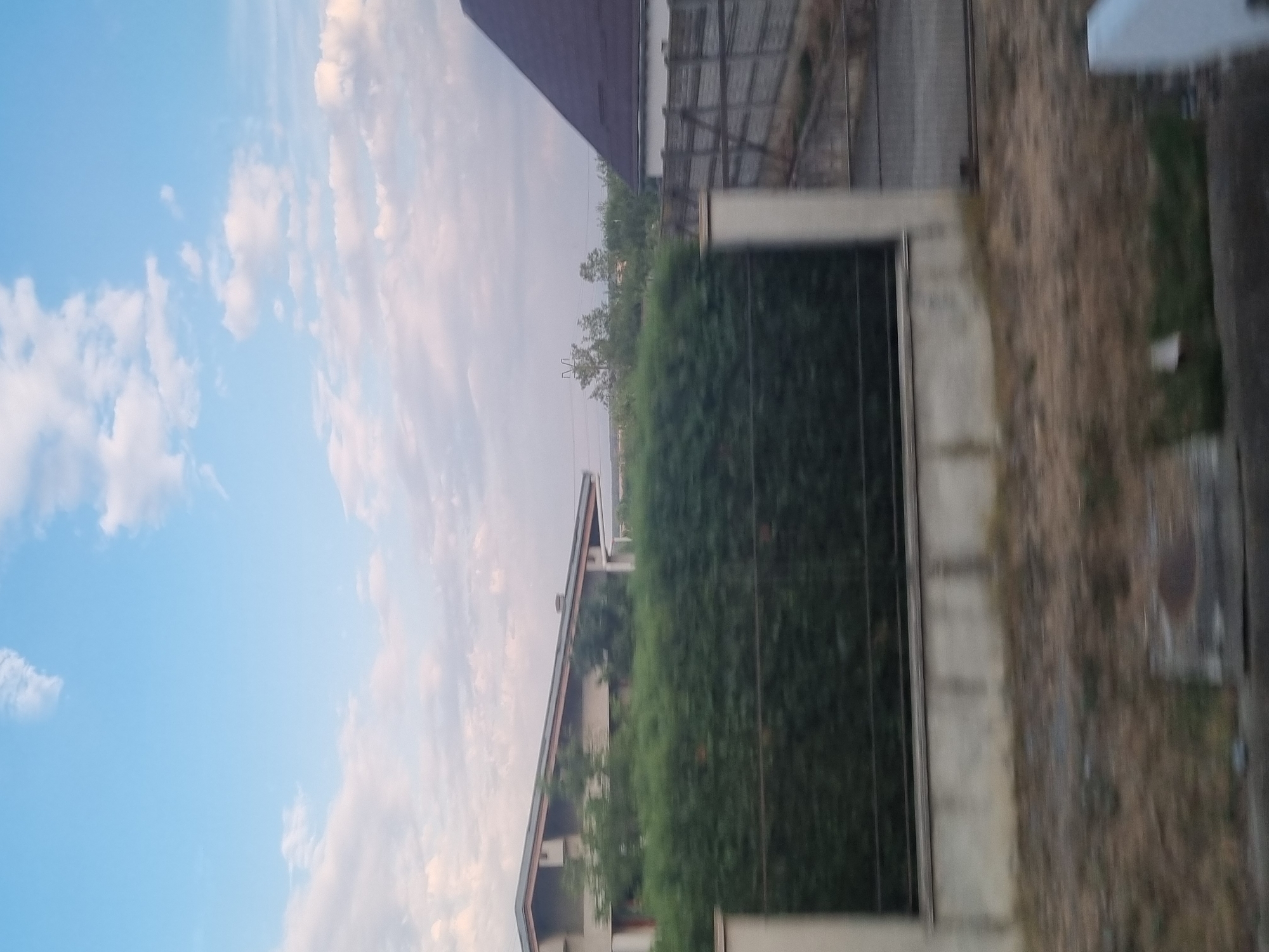 The image captures a segment of a suburban street in Gepiu, Romania, with a focus on residential properties. The scene is dominated by a dense, green hedge that runs horizontally across the frame, acting as a visual barrier. Beyond the hedge, a modern-style house with a slanted roof is visible on the left, partially obscured by foliage. To the right, another house with a dark tiled roof is present, along with a wooden fence. The sky above is a clear blue, dotted with scattered white clouds, suggesting fair weather. The foreground shows a strip of dry grass and some debris on the ground, indicating a somewhat unkempt area. The overall impression is that of a quiet, residential neighborhood bathed in daylight.