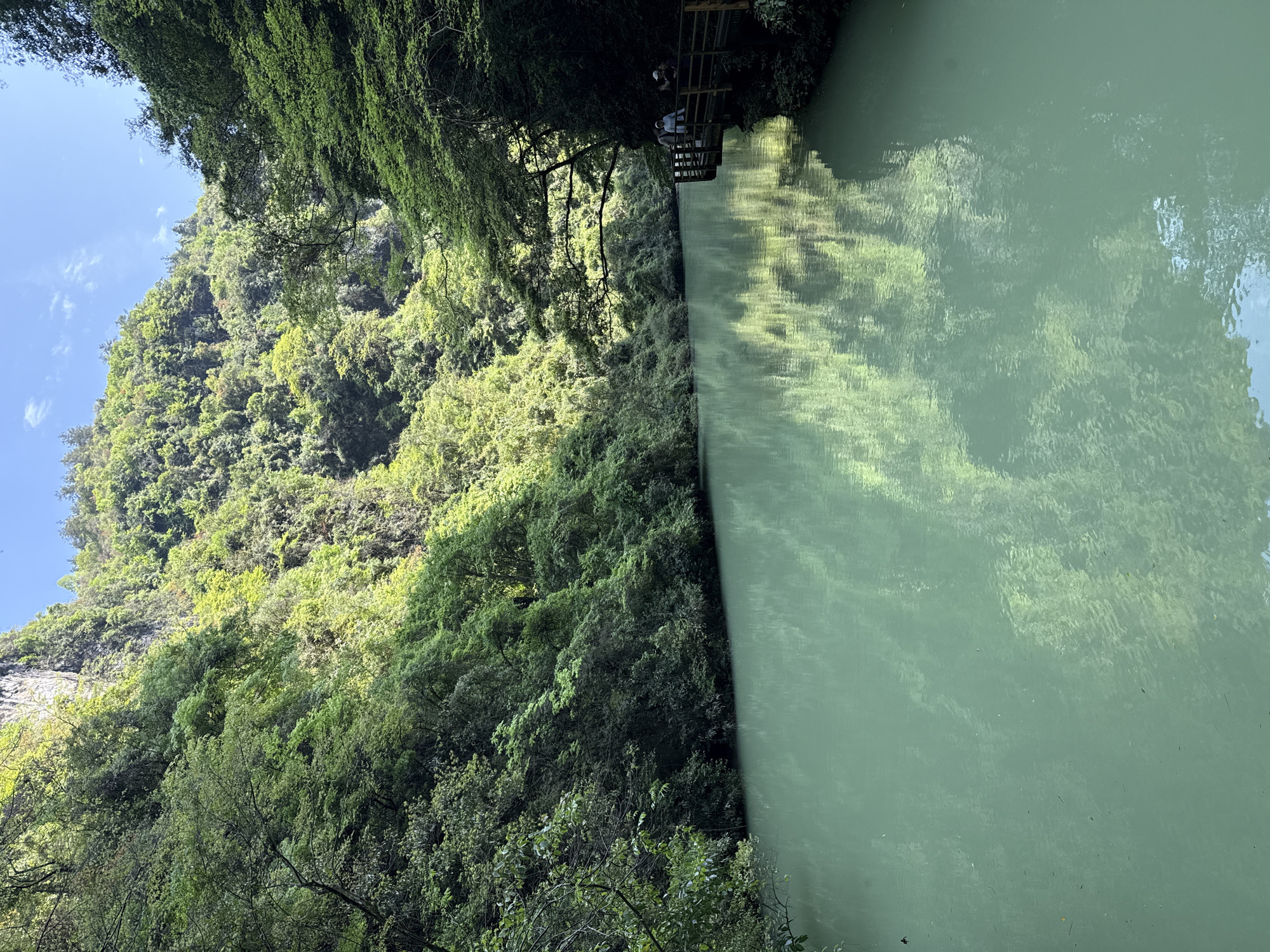 The image depicts a lush, green landscape in 张家界市, China. A body of water, likely a river or lake, fills the right half of the image with a milky green hue, reflecting the surrounding foliage. Dense forest covers the left half, climbing up a steep hillside. A wooden platform or walkway is visible in the upper right, with a couple of figures standing on it. The sky is partly visible in the upper left, showing a clear blue with a few scattered clouds. The overall scene conveys a serene and natural environment.