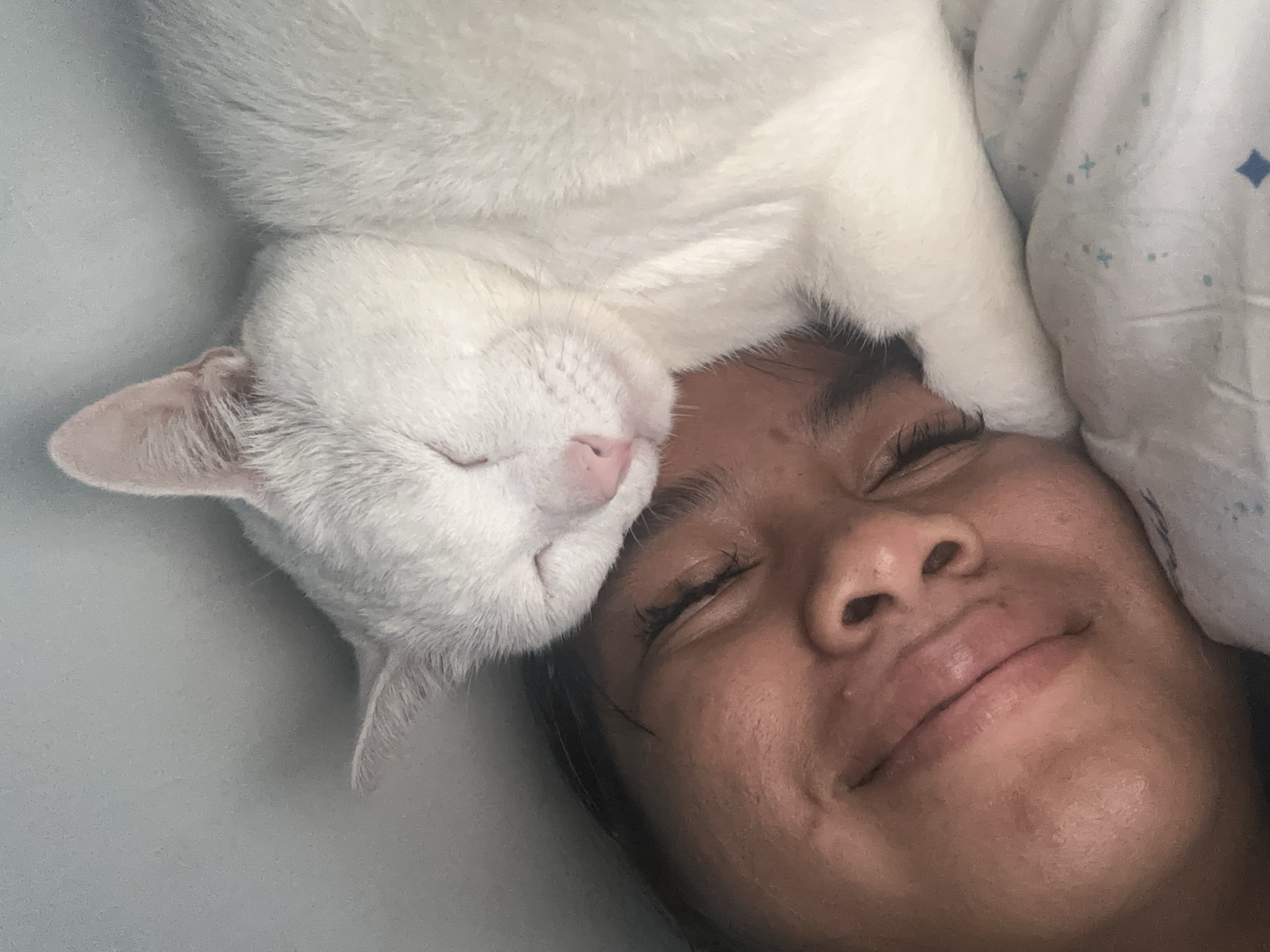 A close-up, intimate shot depicts a person and a cat in a state of rest. The person, who appears to be lying down, has their eyes closed and a slight smile on their face. A white cat is positioned on top of the person's head, also appearing to be asleep. The cat's head rests against the person's forehead. The background shows bedding, suggesting the scene is taking place indoors, possibly in a bedroom. The precise location in North Jakarta, Indonesia, cannot be ascertained from this image.