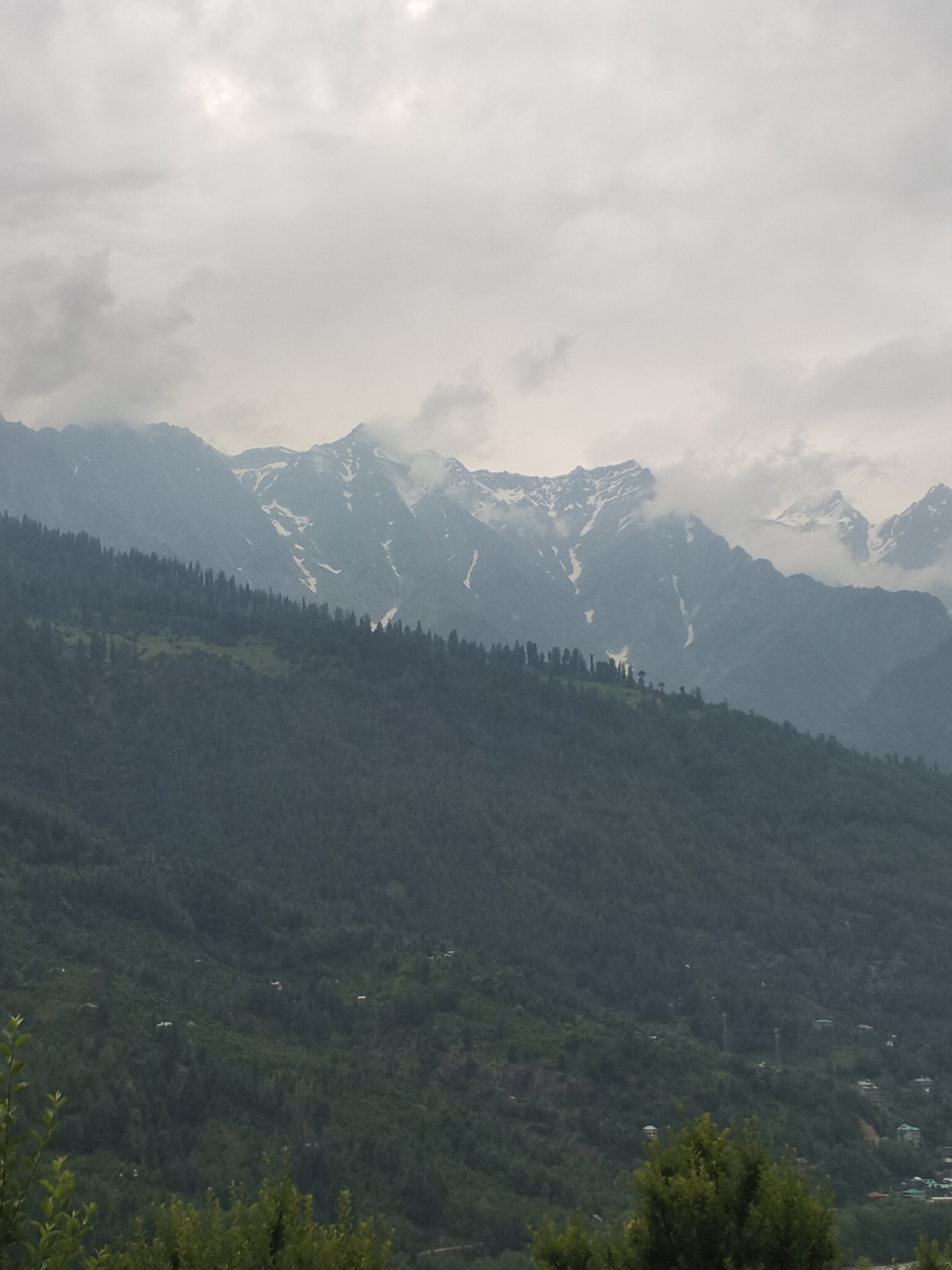 This is a vertical, medium-distance, outdoor photograph of a mountainous landscape. The scene is dominated by layers of evergreen trees covering the slopes of hills, leading up to a jagged mountain range in the background. The mountains are snow-capped and partially obscured by soft, grey clouds, suggesting a cool, possibly overcast day. The time of day is indeterminate, but the lighting is diffused and muted.
The foreground and middle ground are densely packed with dark green trees, creating a textured, undulating surface that slopes upwards. Scattered amidst the trees on the lower slopes are hints of small, scattered dwellings, some with visible rooftops and structures, suggesting a rural or village setting nestled within the natural environment. In the far distance, the snow-covered peaks of the higher mountains rise majestically, their white caps contrasting with the darker slopes and the grey sky.
The overall atmosphere is one of serene natural beauty and tranquility. The heavy cloud cover lends a somewhat dramatic or moody feel to the scene, emphasizing the raw power and scale of the mountains. There are no people or distinct objects visible, making the natural landscape the sole focus. The location context of Vashisht, India, suggests a Himalayan environment, known for its stunning mountain scenery and lush green valleys. No text is visible in the image.