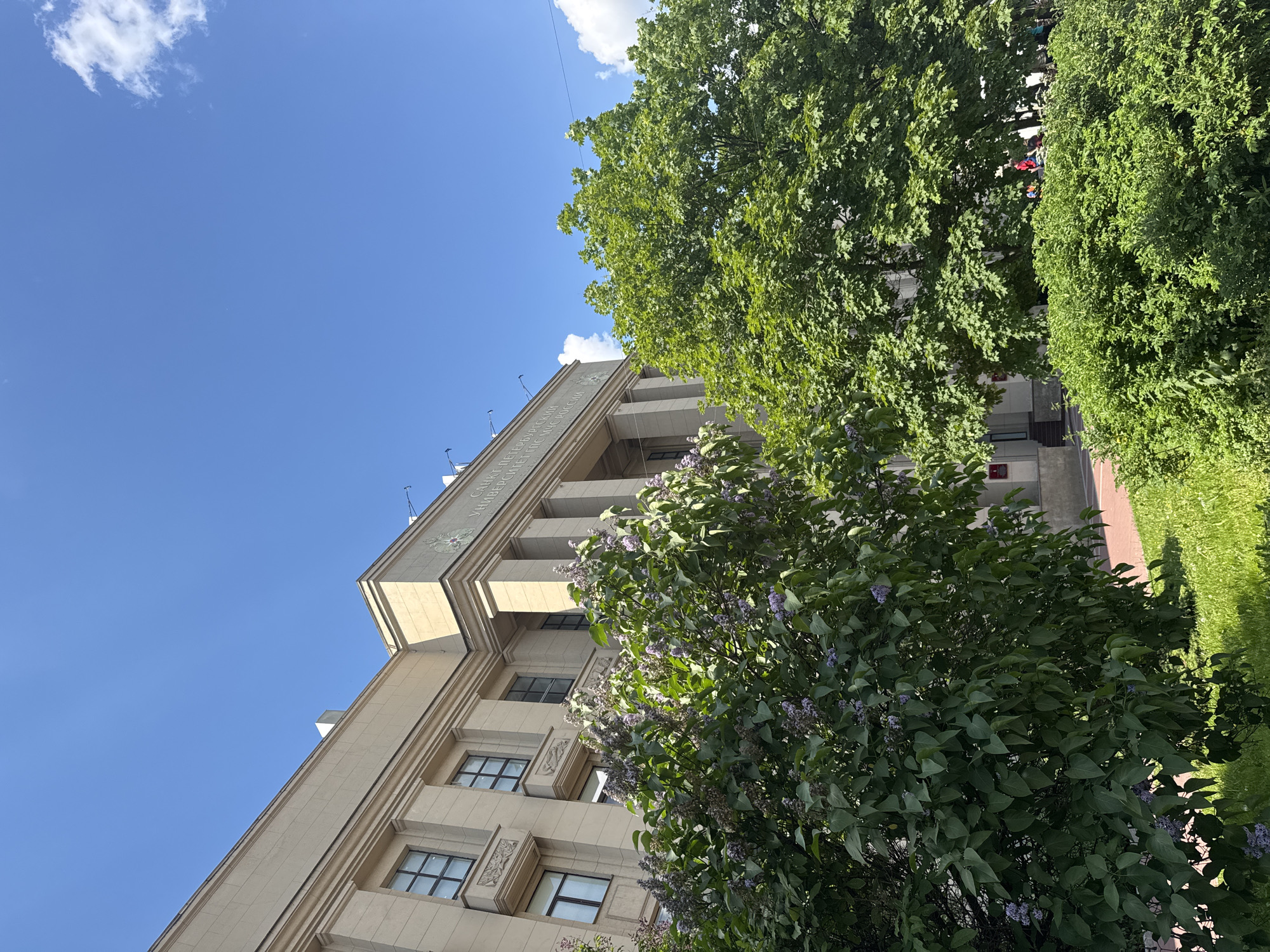 The image captures an exterior view of a large, light-colored building under a bright blue sky with scattered white clouds. The building exhibits classical architectural features, including prominent columns and decorative elements around its windows. On the upper part of the facade, a Cyrillic inscription is clearly visible, reading "САНКТ-ПЕТЕРБУРГСКИЙ ГОСУДАРСТВЕННЫЙ УНИВЕРСИТЕТ" (Saint Petersburg State University), alongside an emblem.
To the right of the building, the scene is dominated by vibrant green foliage. A large, blooming lilac bush with purple flowers is prominent in the foreground, partially obscuring the lower and mid-sections of the building. Behind it and further to the right are taller trees with dense green leaves, creating a lush, natural barrier. A reddish paved path or sidewalk runs alongside a strip of green grass on the far right.
The time of day is clearly daylight, indicated by the bright illumination and distinct shadows, suggesting a sunny day. A few indistinct figures can be seen behind the trees in the distance, but no specific activity is discernible. The overall impression is a pleasant, sunny day in an urban or campus setting, likely during spring or early summer given the blooming lilac. The photo is taken from a low-angle perspective, looking upwards towards the building and sky.