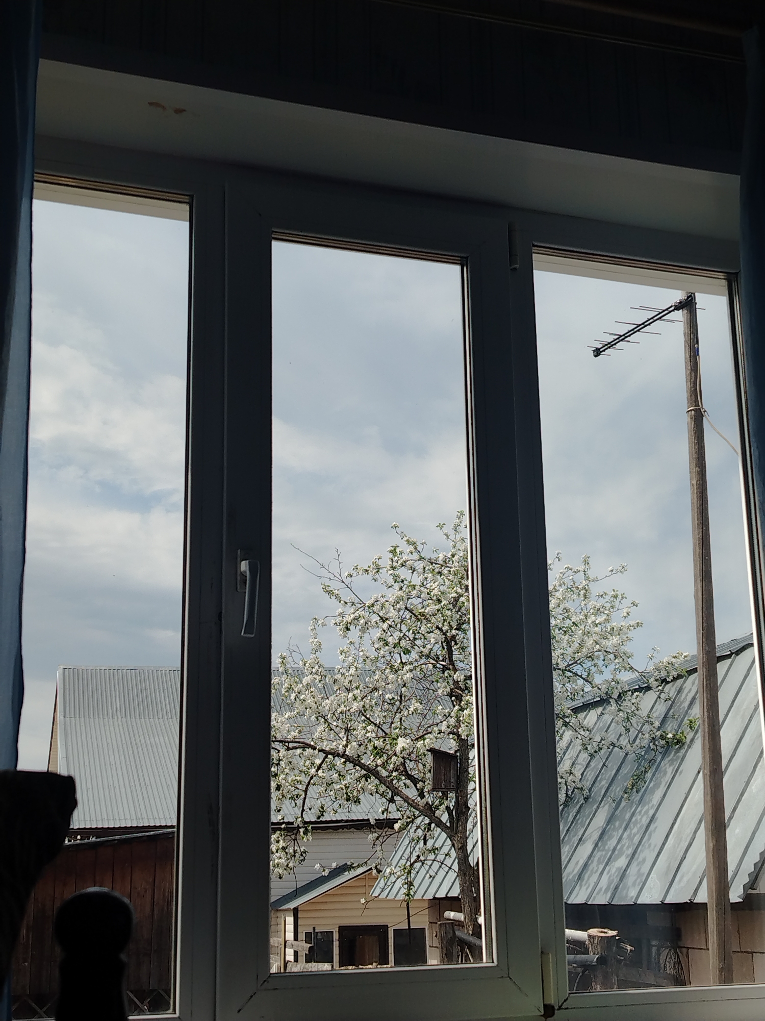A view from inside a building, looking through a white-framed, multi-pane window, revealing an outdoor scene. The scene includes parts of other buildings with corrugated metal roofs, a wooden utility pole with a television antenna, and a tree with white blossoms. The sky is overcast. The interior view shows parts of blue curtains on the left side of the frame. The location is Яган, Russia.