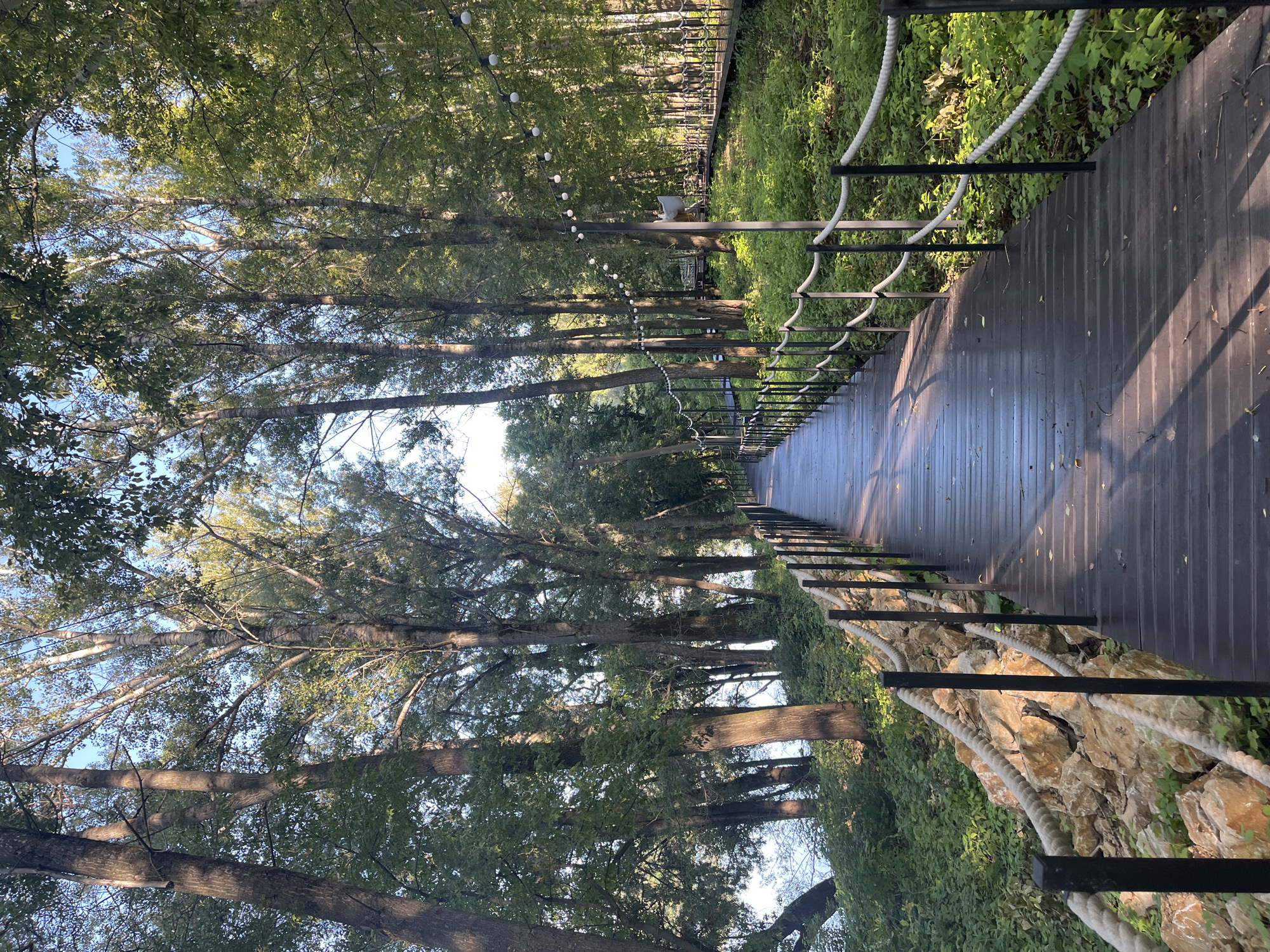 A wooden boardwalk with black metal railings and thick rope balustrades extends into a lush, tree-lined park. The boardwalk is wet, reflecting the dappled sunlight filtering through the leaves of tall trees. The trees, predominantly deciduous with some birch, create a dense canopy overhead. The ground alongside the boardwalk is covered in dense green undergrowth and scattered rocks. In the distance, strings of white globe lights are visible along the path, suggesting a recreational area. The scene appears to be in a natural setting, possibly a park or nature reserve within the city of Ufa, Russia, near a body of water implied by the light on the left side of the image. There are no people visible in the image.