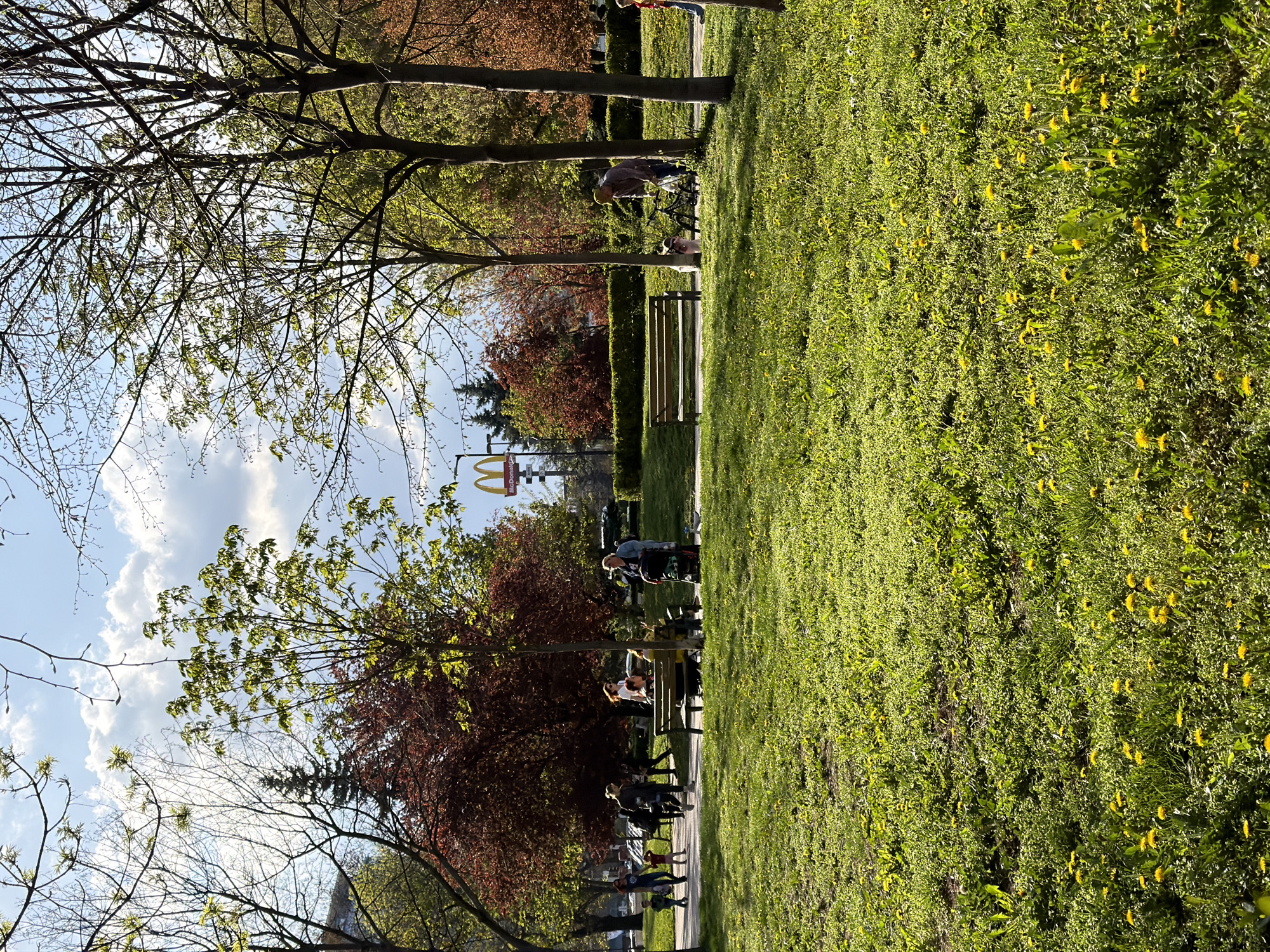 The image captures a vibrant park scene in Sofia, Bulgaria, identifiable by the presence of a McDonald's restaurant sign in the background. The park is lush with green grass dotted with yellow dandelions. Several trees, some with budding leaves and others with mature foliage, are scattered throughout. A pathway winds through the park, and several people are visible, some sitting on benches, others strolling along the path, and a few appear to be engaged in conversation. There's a mix of ages, from children to older adults. The sky is partly cloudy, with a blend of blue sky and white clouds peeking through the trees.