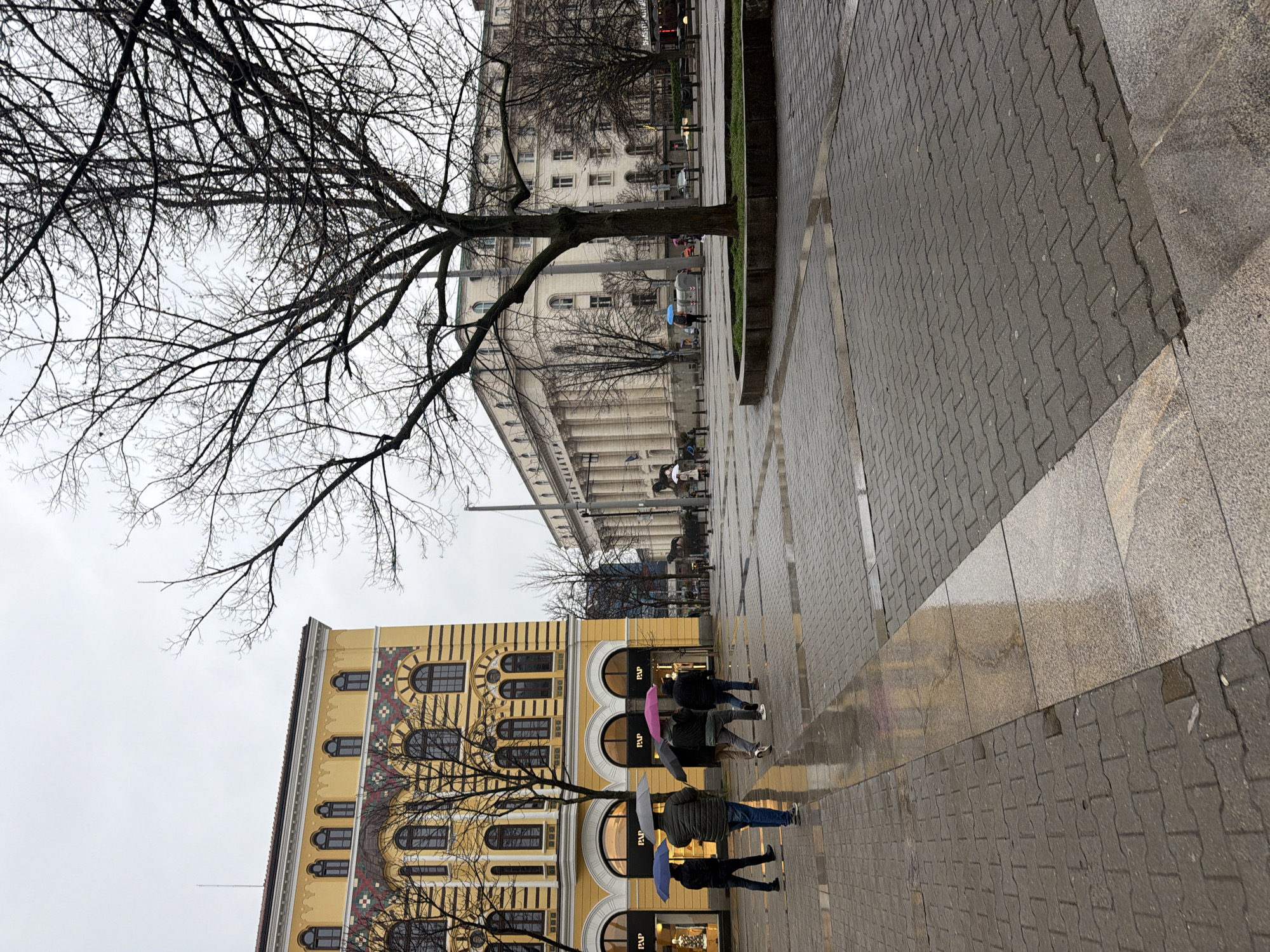 The image depicts a street scene in Sofia, Bulgaria, likely on Vitosha Boulevard based on the architectural style of the buildings. The foreground shows a wet, paved pedestrian area with reflections suggesting a recent rain. There are a few people walking on the sidewalk, some holding umbrellas. To the left is a yellow building with arched windows, and a bare tree stands in front of it. In the background is a larger, white building with multiple stories. The sky is overcast.
