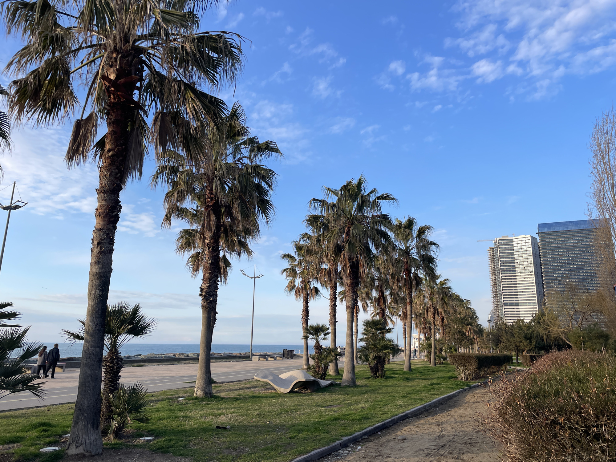 The image depicts a coastal scene in Batumi, Georgia. A row of palm trees lines a pedestrian walkway next to the sea. In the background are modern high-rise buildings. The sky is blue with scattered clouds. A few people can be seen walking along the waterfront. The ground cover is a mix of grass and shrubbery, with a dirt path running alongside the walkway. There is a modern, curved concrete bench located on the lawn near the walkway.