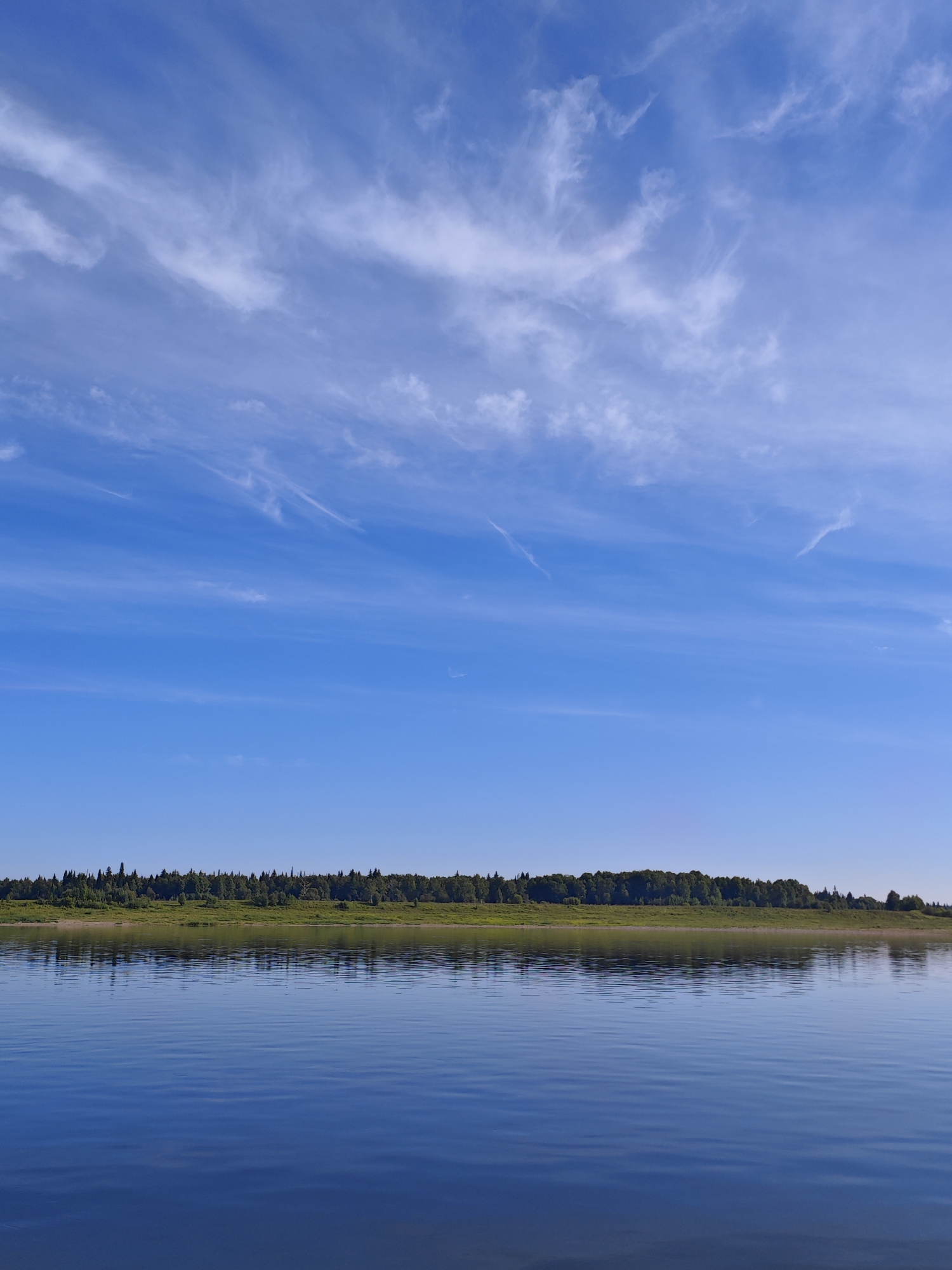 The image depicts a serene natural landscape under a bright blue sky with wispy white clouds. A calm body of water, likely a river or lake, dominates the foreground, its surface reflecting the sky and the treeline on the opposite bank. The treeline forms a dense, dark green band of forest, with a strip of lighter green vegetation along its edge closest to the water. The water exhibits subtle ripples, creating a textured surface. The scene is devoid of any human presence or man-made structures, presenting an untouched natural environment. Based on the provided context, this scene is located in the city of Krivlyak, Russia.