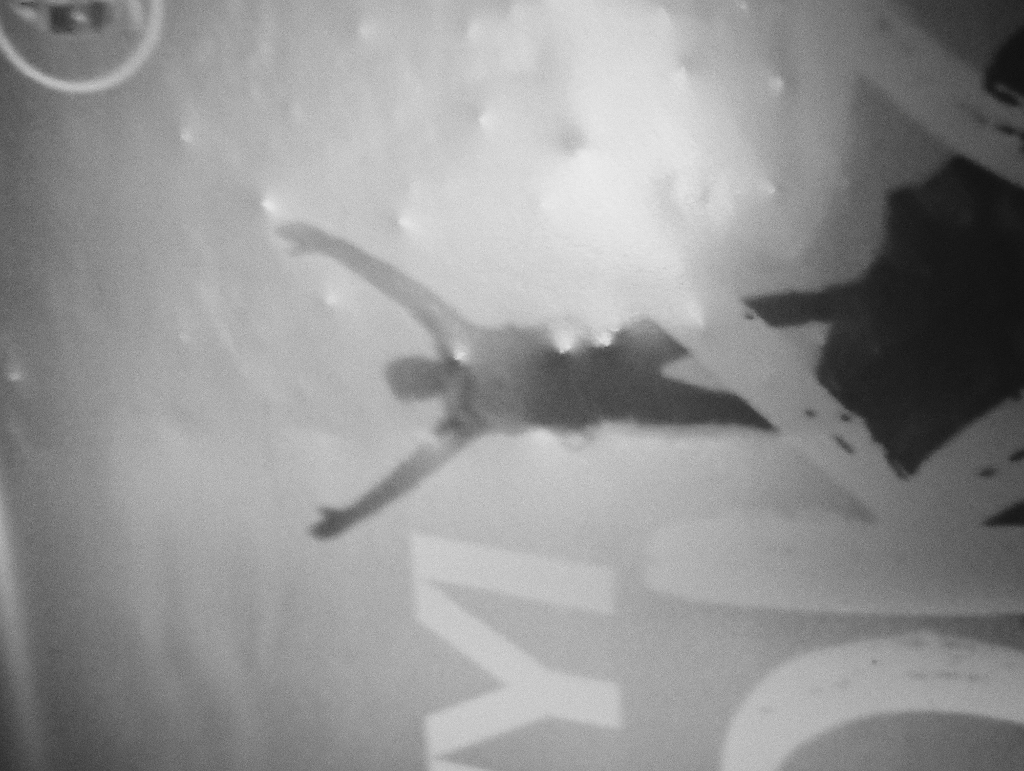 The image, captured in grayscale, shows an object or surface with an image or depiction on it. The primary focus is a figure with outstretched arms, possibly diving or falling. The figure appears to be dark against a lighter background. Below the figure are two large, partially visible letters, possibly "YI". The background is blurry and indistinct, but appears to have some speckled or raised elements. A circular form is partially visible in the upper left corner. The city of Nkpor, Nigeria is mentioned as the location but there is no discernible imagery to verify the environment.