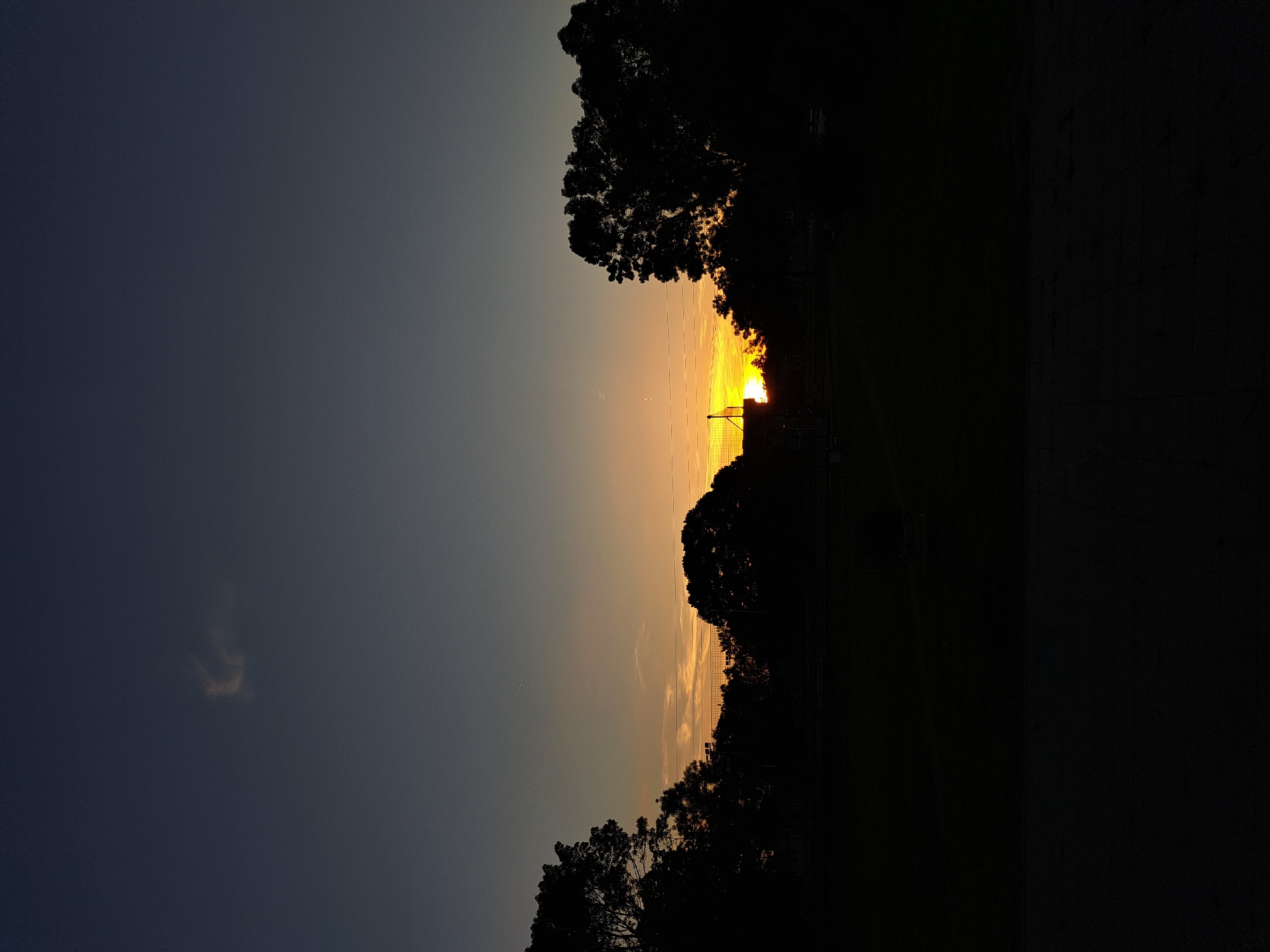 The image depicts a sunset over a field in what is reported to be Negovan, Bulgaria. Dark silhouettes of trees frame the top and bottom of the image, obscuring portions of the field. The setting sun is visible in the center, positioned behind a fence. The sky transitions from a darker hue at the top left to orange and yellow closer to the sun. To the left of the image is a single small cloud. The right side of the image is mostly undifferentiated darkness.