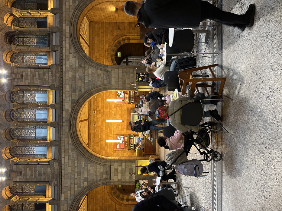 The image depicts an indoor cafe area located within the Hintze Hall or a similar grand public space of the Natural History Museum in London, United Kingdom.
The environment is characterized by monumental Romanesque Revival architecture, featuring massive light-colored stone blocks forming thick columns and large rounded arches. Above these arches, an upper level displays ornate arched windows with intricate patterns, illuminated by warm artificial light. The floor is a light-colored mosaic tile with darker decorative borders.
Approximately 25 individuals are present. The majority are seated at small, circular white tables with dark chairs, eating, drinking, and conversing. Visible subjects include: a person in a white server's uniform behind a counter on the left; a man in a dark jacket standing near a brightly lit food service counter under the left arch; a child in a pink coat seated in a black stroller with a light purple backpack hanging from it; another child seated in a wooden high chair at a table; and a man in a dark jacket walking away from the viewer in the right foreground. Other patrons are spread across multiple tables, engaging in various seated activities. The brightly lit cafe sections under the arches display food items, beverages, and vertical strip lighting.