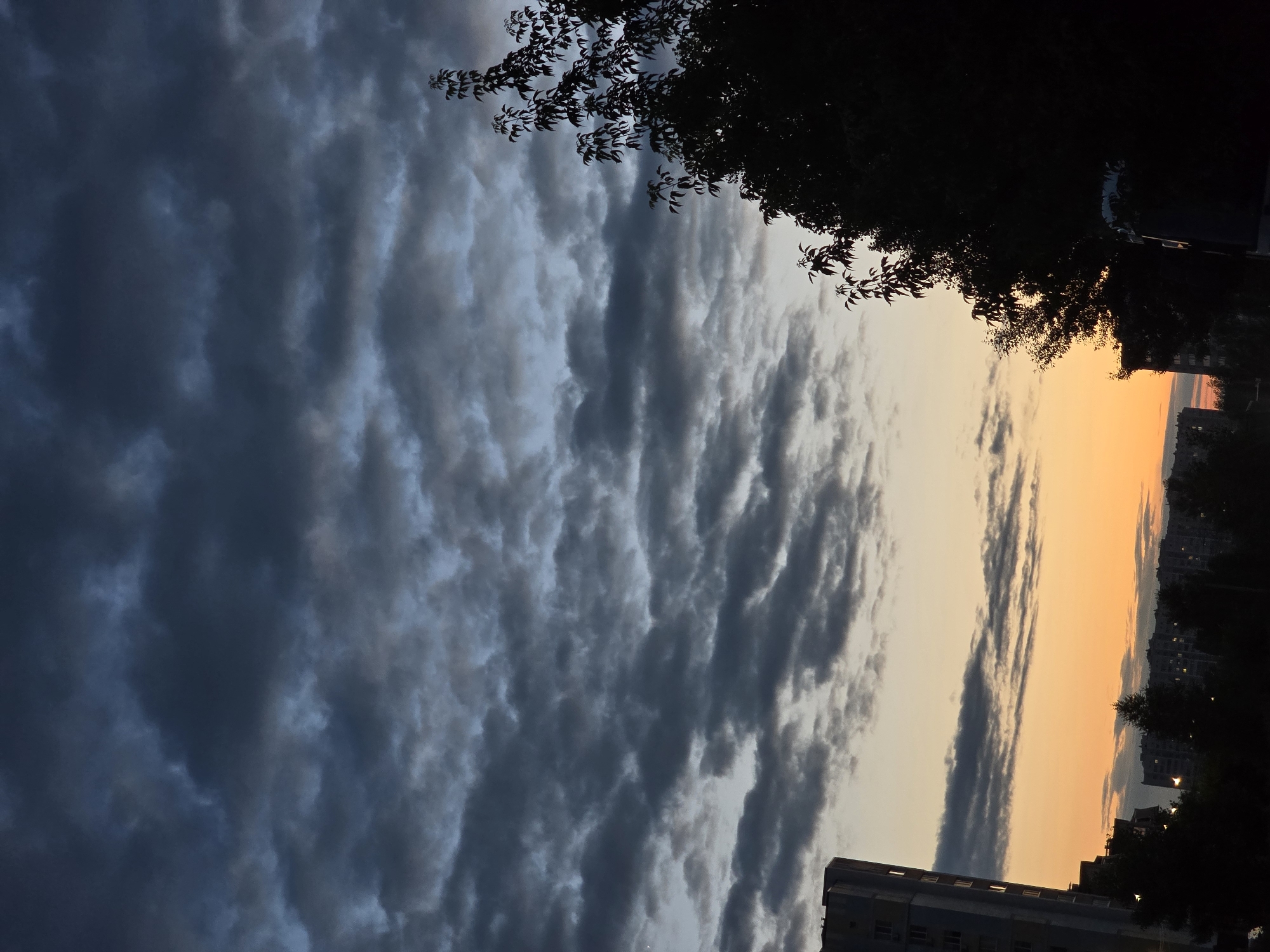 A photograph captures a dramatic sunset over Sofiivska Borshchahivka, Ukraine. The sky is divided, with dark, turbulent storm clouds dominating the left side and a vibrant, fiery orange hue illuminating the right. Thin, wispy clouds streak across the orange expanse, catching the last rays of sunlight. Silhouetted against this dramatic backdrop are the dark shapes of trees and the outlines of apartment buildings, their windows faintly lit.
The time of day is clearly sunset, indicated by the intense orange and yellow colors of the sky. The weather appears to be a transition from stormy to clear, with heavy clouds gradually giving way to the colorful sunset. The presence of apartment buildings suggests an urban or suburban setting. The overall mood evoked by the image is one of transition and drama, with the imposing storm clouds juxtaposed against the warm, fading light of the sunset. There is no visible text in the image.