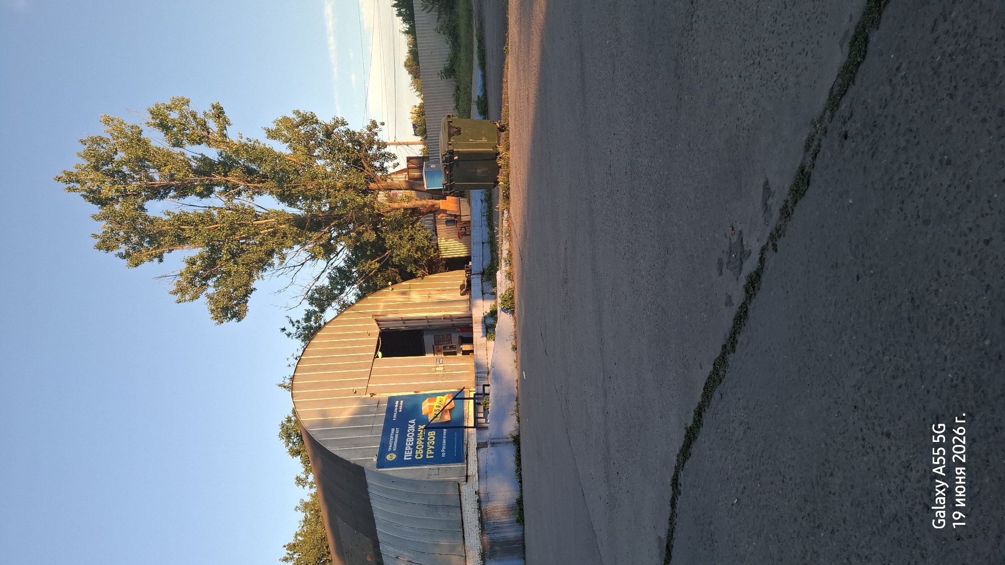 An exterior shot captures a low-angle view of a light-colored, arched-roof industrial building situated in a paved outdoor area, possibly a yard or parking lot. The building's corrugated metal exterior is illuminated by warm, directional sunlight casting shadows. To the left of the building, a large blue advertisement poster is affixed to the wall. This poster displays text in Russian, including "ПЕРЕВОЗКА СБОРНЫХ ГРУЗОВ" (transportation of consolidated cargo), a phone number, and a price. Adjacent to the building, a tall, leafy tree stands to the right, its branches silhouetted against a clear blue sky. In the foreground, a dark gray asphalt surface is visible, with cracks and patches of green grass growing through them. Two large, dark green trash receptacles are placed to the right of the building. The overall scene suggests a commercial or industrial setting, possibly on the outskirts of Rostov-on-Don, Russia, given the timestamp and language on the poster. The image was captured on June 19, 2026.