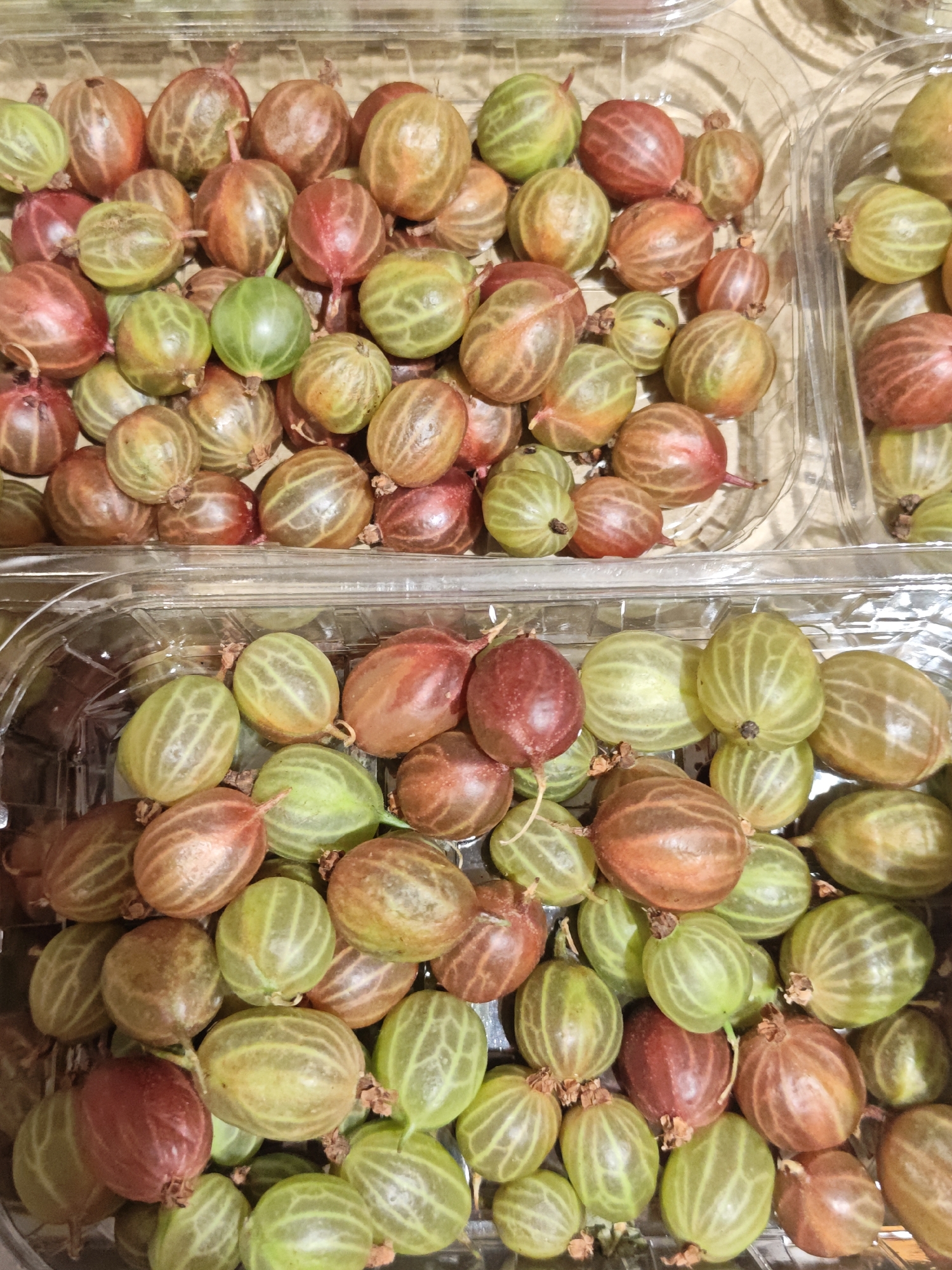 The image shows two clear plastic containers filled with gooseberries. The gooseberries are of various colors, including green, red, and brown, and are arranged in clusters within the containers. The background is a light brown, textured surface. The image is a close-up shot, focusing entirely on the fruit and containers. The scene is indoors, likely a domestic setting, and there is no indication of a specific location in Shcherbinka, Russia.