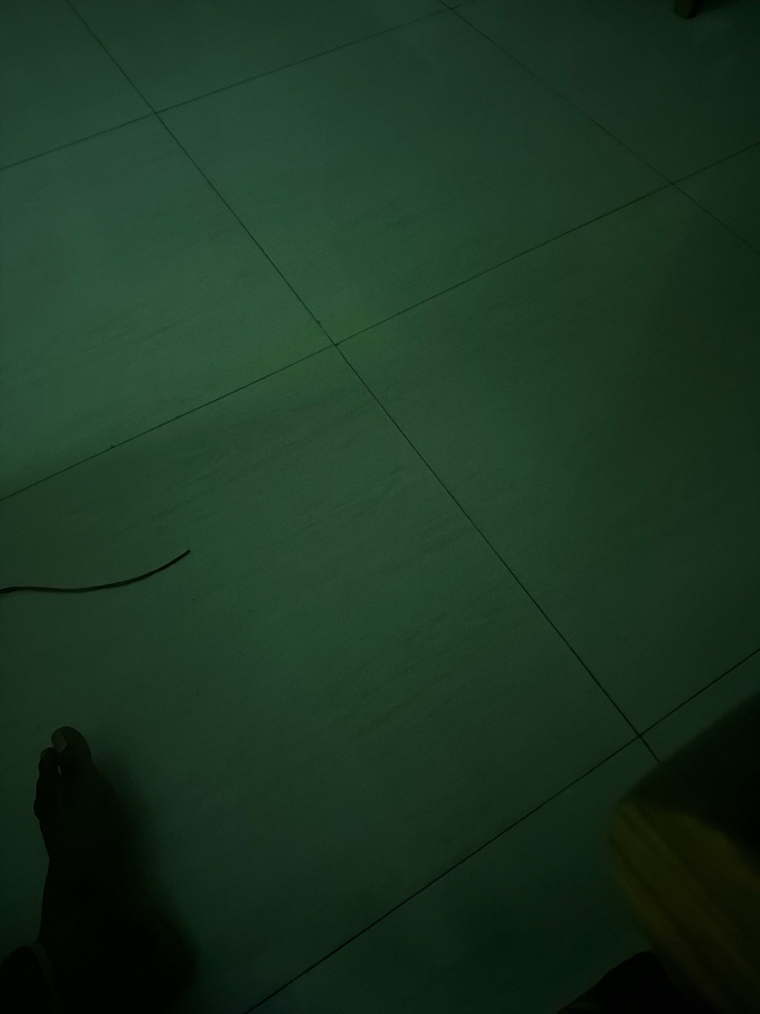 A close-up, low-angle shot captures a tiled floor in what appears to be a dimly lit room. The tiles are a dark, greenish hue, with visible grout lines forming a grid pattern across the surface. In the lower left portion of the frame, a silhouetted foot is visible, casting a shadow on the floor. To the left of the foot, a thin, dark wire or string curves across the tiles. The overall lighting suggests a low-light environment, possibly at night or in a poorly illuminated area. The context of Bandar, Bangladesh, is not visually discernible from the image itself.