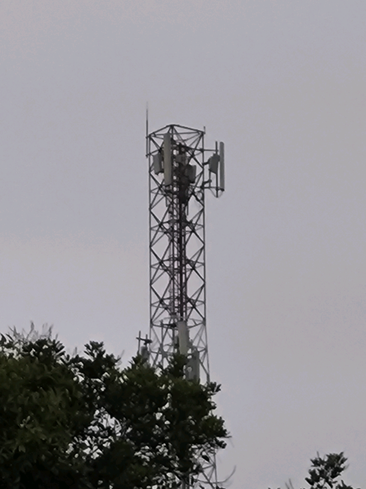 A tall cell tower, constructed of dark metal lattice, stands against a pale, overcast sky. The tower is equipped with multiple antennae, some rectangular and gray, others smaller and white, arranged at various levels. The top of the tower is crowned with a thin, pointed lightning rod. In the foreground, a dense canopy of dark green trees partially obscures the base of the tower, their leaves catching the diffused light. The scene appears to be an outdoor setting, likely in a somewhat rural or suburban area of Mekarwangi, Indonesia, given the presence of both significant technological infrastructure and natural foliage. The overall impression is one of a functional, somewhat industrial structure integrated into a vegetated landscape under a muted sky.