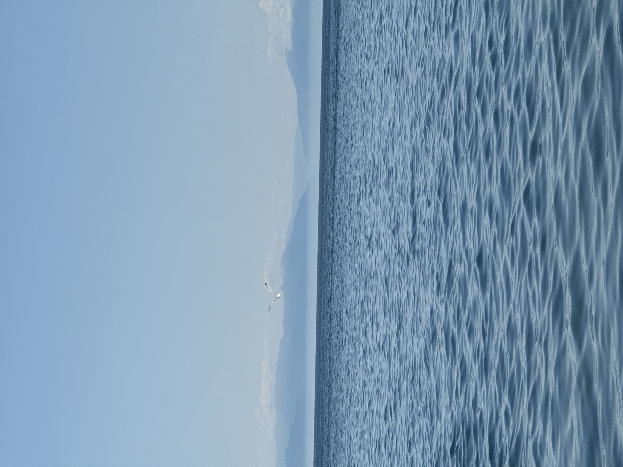 This is a vertical, landscape photograph of a vast body of water, likely Lake Baikal, with a distant mountainous horizon. The water in the foreground exhibits gentle ripples, reflecting the clear, pale blue sky. The horizon line is marked by a soft, hazy blue where the water meets the sky. Beyond the water, a series of muted blue mountain ranges recede into the distance, partially obscured by atmospheric haze. A single white seagull is captured in flight against the sky, positioned slightly above the horizon line. The overall atmosphere of the image is serene and expansive. There is no visible human presence or urban elements in this scene. The location is consistent with the natural landscape surrounding Listvyanka, Russia, a settlement on the southwestern shore of Lake Baikal.
