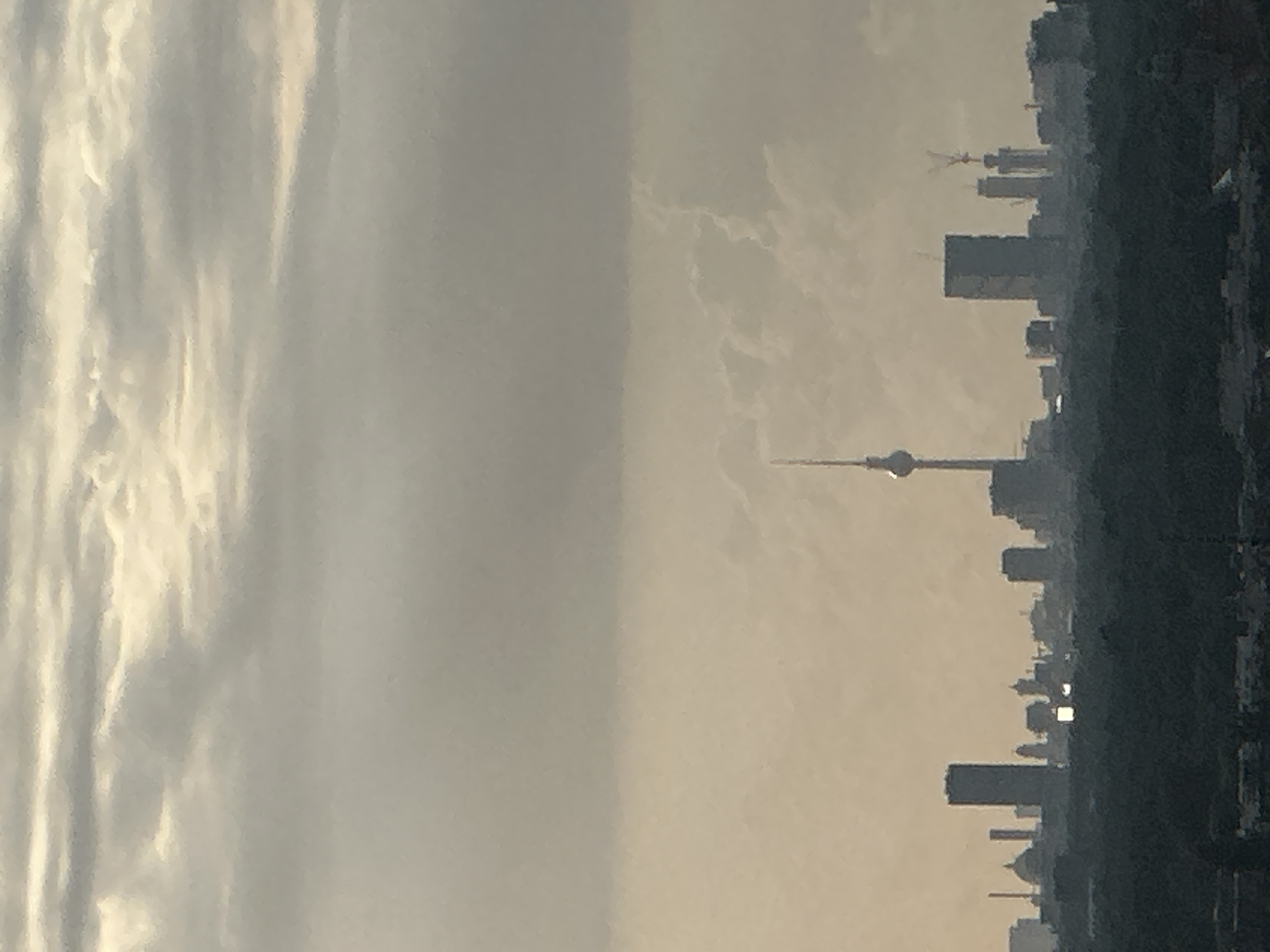 The image shows a distant view of the Berlin skyline under a cloudy sky. Prominent structures include the Fernsehturm (TV Tower) on the left, and several modern skyscrapers and older buildings in the mid-ground. The foreground is dominated by a dark, silhouetted expanse of trees, suggesting a park or forested area. The lighting is diffused, indicating either dawn, dusk, or an overcast day. There are no people visible in the scene. The overall impression is one of urban sprawl seen from a distance.