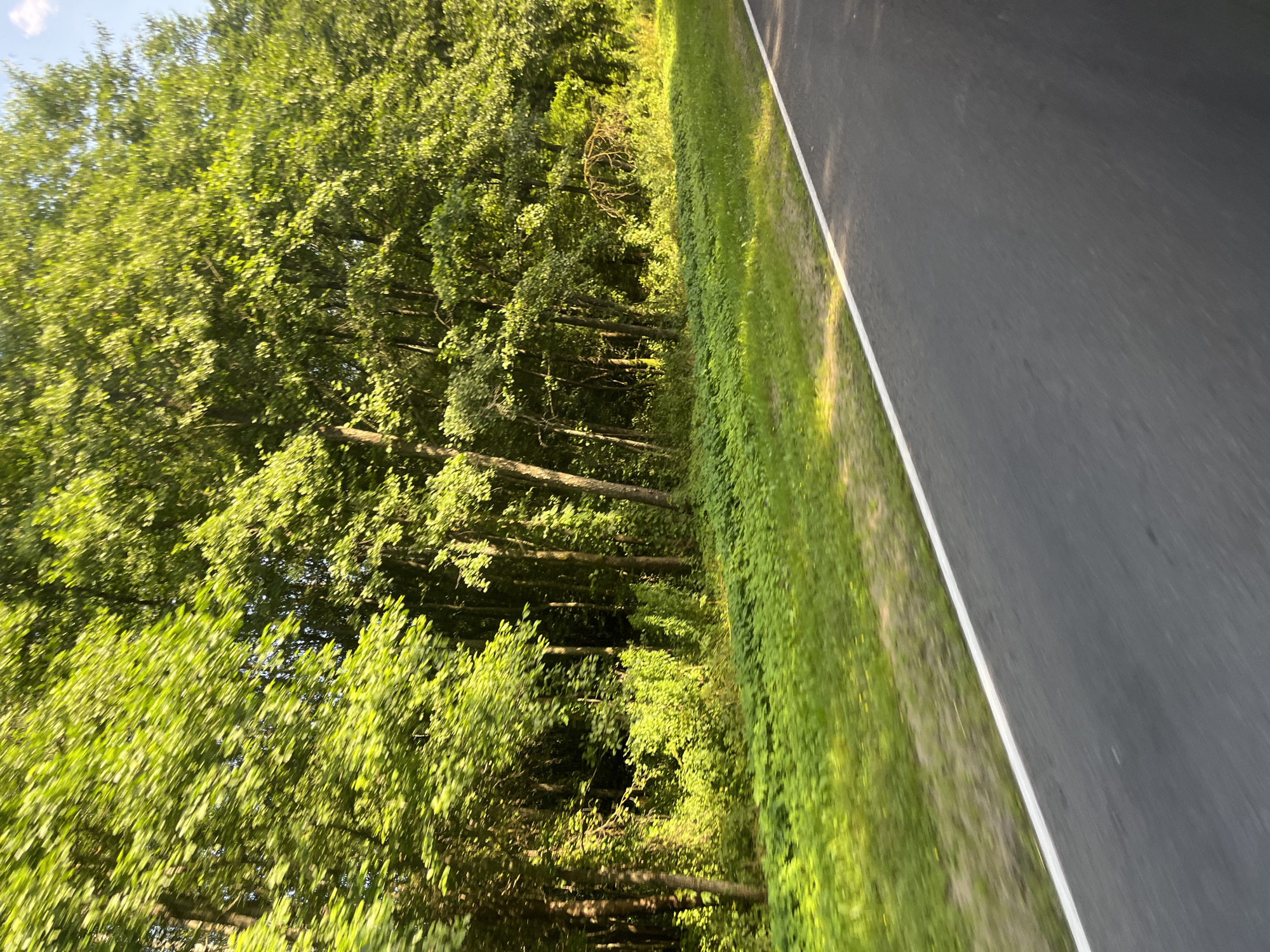 The image shows a paved road with a white line running along its edge. To the left of the road is a lush green verge, which transitions into a dense forest with tall trees and undergrowth. The foliage is illuminated by sunlight, creating a vibrant, verdant scene. The sky is visible in the upper right corner, appearing light blue. The image suggests a natural, possibly rural or suburban, environment, consistent with a location such as the Мядзельскі сельскі Савет in Belarus, known for its natural landscapes. There are no people or specific structures visible, only the road and the surrounding natural environment.