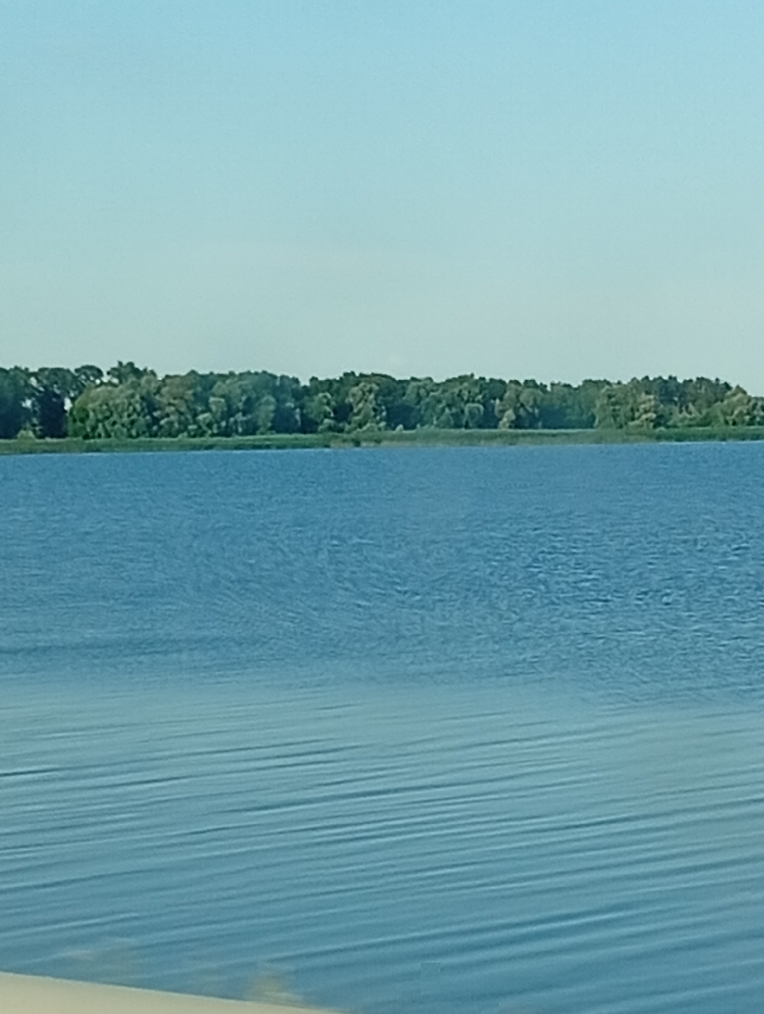 The image depicts a wide expanse of calm, blue water with subtle ripples, suggesting a tranquil lake or river. In the background, a dense line of lush green trees forms a natural horizon, interspersed with reeds or tall grass along the water's edge. The sky above is a clear, pale blue, indicating fair weather. The foreground shows a sliver of sandy or light-colored ground, possibly a beach or bank, which is out of focus. There are no people or discernible man-made structures visible in the scene. The overall impression is one of a serene natural landscape.