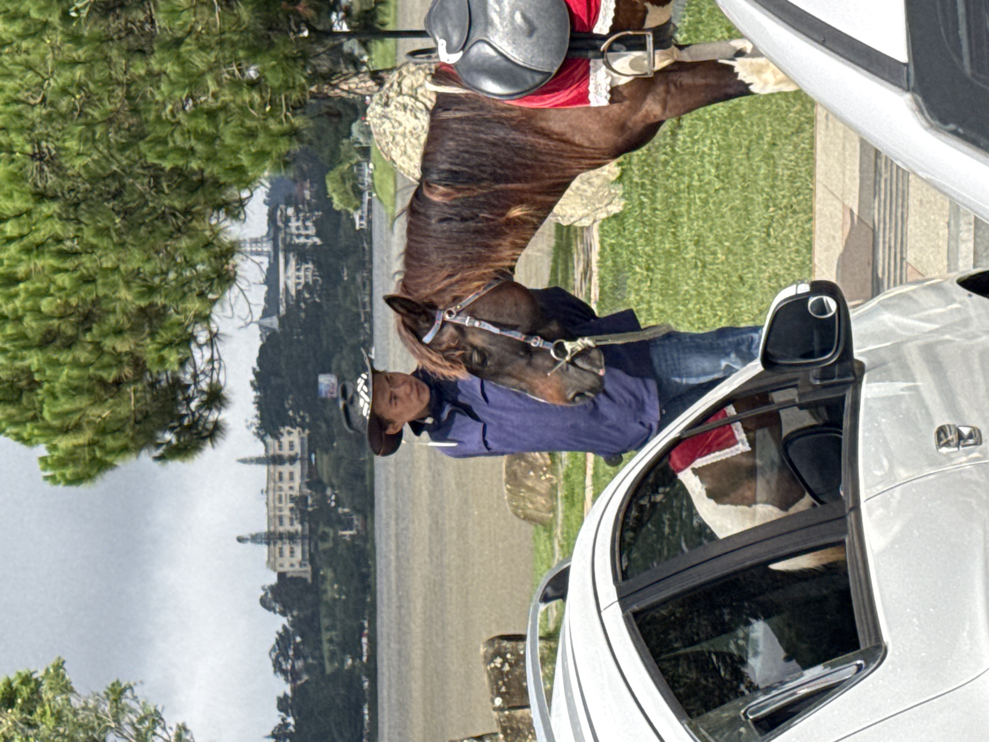 This outdoor image captures a serene scene, likely in Da Lat, Vietnam, featuring a person and a horse, with parts of a car visible in the foreground and a scenic landscape in the background.
In the mid-ground, a person, possibly an adult, stands beside a saddled horse. The individual wears a dark blue long-sleeved top, blue jeans, and a hat, looking gently towards the horse's head. The horse is predominantly brown with a lighter, flowing mane and tail, and has white patches on its hindquarters. It is fitted with a bridle and a saddle adorned with a distinctive red and white decorative pad, suggesting it is prepared for riding. Both the person and the horse appear calm and relaxed. They are positioned on a green grassy area.
Partially visible on the right side of the foreground is a white car, showing its side, rearview mirror, and rear windows. The car's presence suggests a nearby road or parking area.
The background offers a broader view of the setting. A large body of water, possibly a lake, stretches across the middle distance. Beyond the water, a town or city with several multi-story buildings is discernible, some exhibiting architectural styles that could be indicative of Da Lat's historical or colonial past. Verdant pine trees flank the left side of the frame and are scattered throughout the distant landscape.
The lighting indicates daytime, with an overcast sky creating soft, diffused illumination across the scene. The overall atmosphere is peaceful, depicting a leisure activity in a picturesque natural and urban environment. No visible text is present in the image.