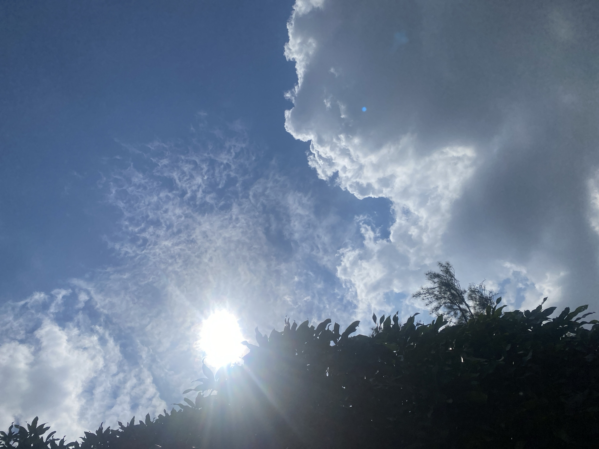 The image captures a sunny sky with a bright sun peeking through scattered clouds and the foliage of a tree, suggesting an outdoor setting in Banjarbaru, Indonesia. The vibrant blue sky is partially obscured by white, wispy clouds, indicating fair weather. Sunlight streams through the leaves of a dark green tree on the left side of the frame, creating a lens flare effect. The tree's dense leaves, some of which are illuminated by the sun, dominate the left portion of the image. The lower right section features a large, dense white cloud, typical of a tropical climate. The scene appears to be a natural landscape or park within Banjarbaru.