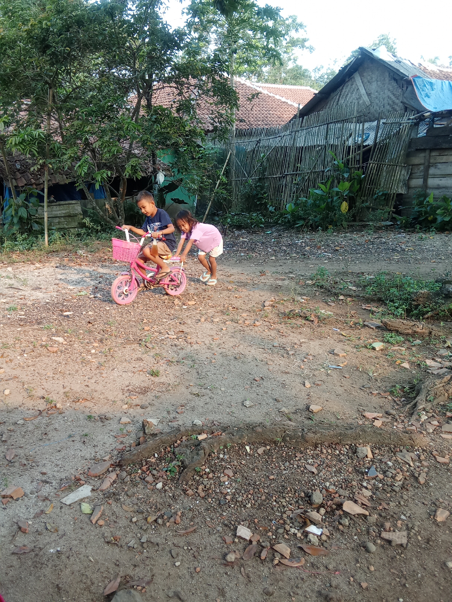 In Cempaka, Indonesia, two young children are playing in a dusty, outdoor area. A boy, wearing a dark t-shirt and light shorts, sits on a pink bicycle with a pink basket. A girl, in a pink shirt and white shorts, stands next to the bicycle, appearing to push or support it. The ground is covered with dirt, small stones, and scattered debris, including broken pieces of terracotta. Behind the children, a rustic fence made of vertical bamboo poles runs along the edge of the property. In the background, there are simple structures with tiled roofs and walls constructed from woven bamboo or similar materials, characteristic of rural Indonesian housing. Lush green trees and foliage are visible, suggesting a tropical or subtropical environment. The scene captures a moment of childhood play in a modest, rural setting.