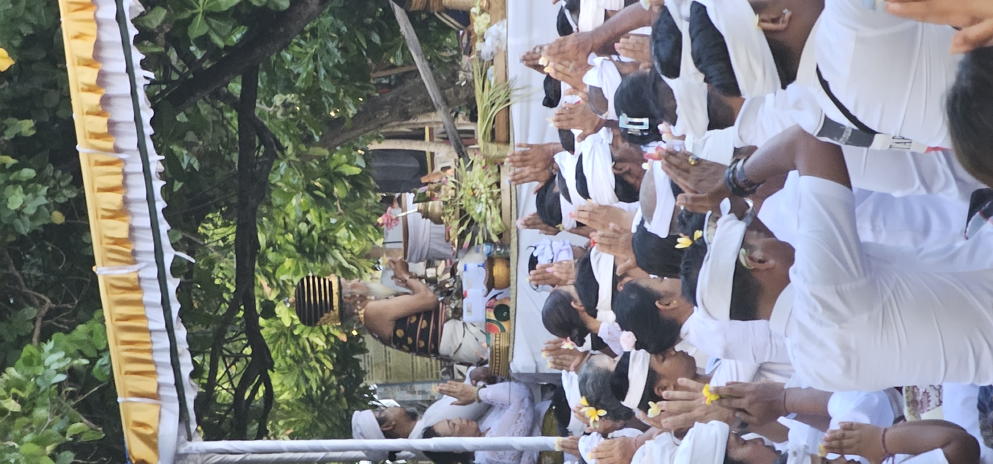 This media file captures a Hindu Balinese religious ceremony taking place outdoors in Denpasar, Indonesia.
**Subjects:** The scene features a group of people, predominantly adults, participating in a spiritual event. Most attendees are dressed in traditional white ceremonial attire, consisting of white tops and matching head coverings (udeng for men, or sanggul with white fabric for women). One central figure, likely a priest or Pemangku, stands apart, wearing a more elaborate, darker patterned top, a distinctive gold and black striped headpiece, and a white lower garment. Lush green trees and foliage are visible in the background and foreground, indicating a natural setting.
**Activity or event taking place:** The primary activity is a collective prayer or ritual. Many participants are seated or kneeling, with their hands pressed together in a prayer gesture (mudra), often holding yellow or white flowers as offerings. The priest appears to be leading the ceremony, with ceremonial items such as offerings (including canang sari), a water bottle, and other ritualistic objects placed around him.
**Notable details:** The time of day appears to be daytime, with natural light illuminating the scene, suggesting either morning or late afternoon rather than harsh midday sun. The weather seems clear and pleasant for an outdoor gathering. The traditional white clothing, specific prayer gestures, and offerings strongly indicate a Balinese Hindu ceremony. The expressions on the faces of the participants convey a sense of devotion and reverence. A decorative yellow and white banner or flag is visible on the left side, adding to the festive or ceremonial atmosphere.
**Visible text:** On the back of one person, partially obscured, is a black strap with some white text that appears to spell out "IEP" or similar letters, possibly part of a brand name or design on a bag strap.