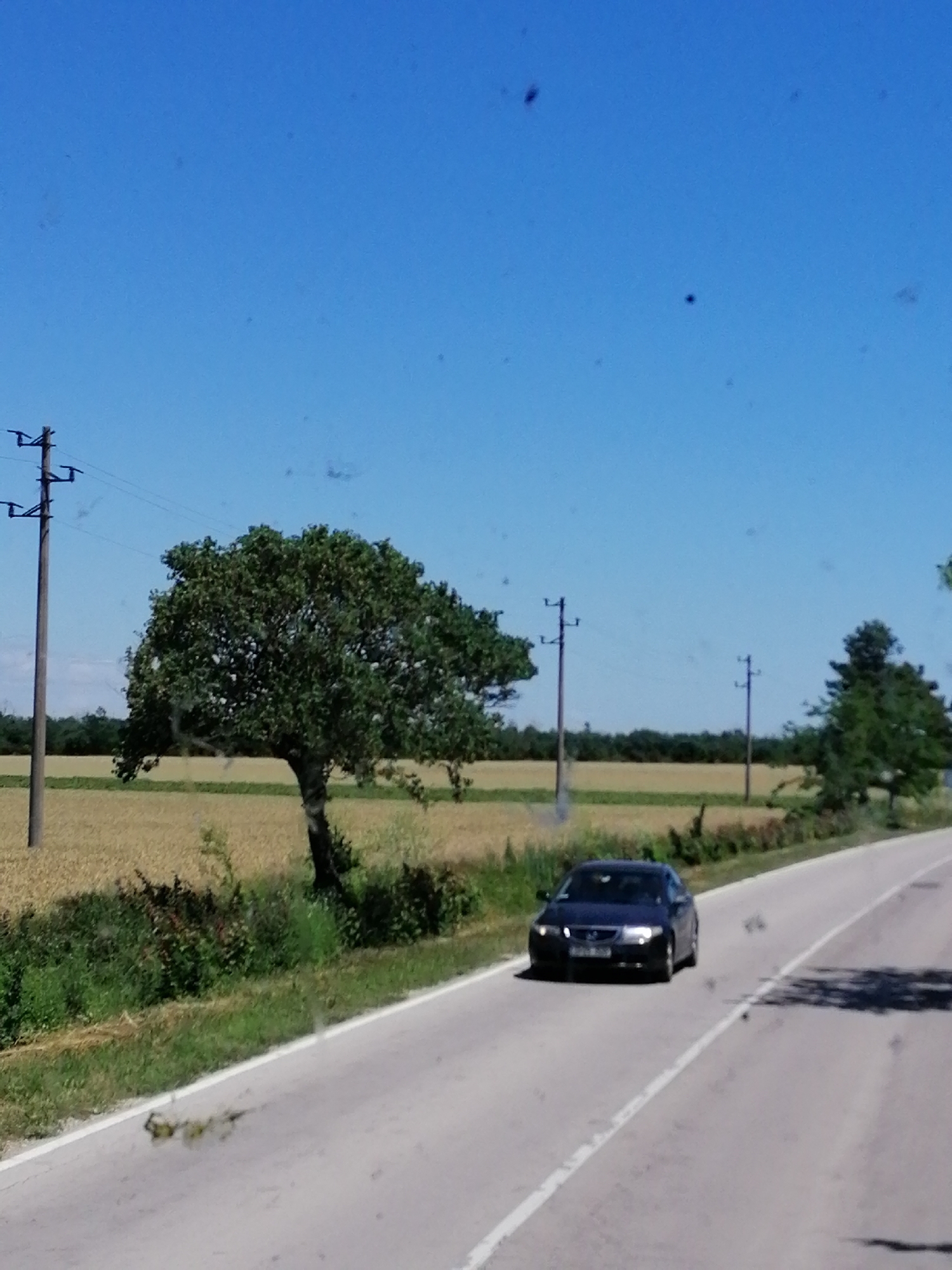 An eye-level shot shows a dark sedan driving on a two-lane asphalt road on a clear day in Durankulak, Bulgaria. The road curves to the right. The car is in the right lane and appears to be moving towards the camera. The car's headlights are on. A line of trees is visible on the right side of the road, and a field of wheat is visible on the left side of the road. There are utility poles with wires along the left side of the road. The sky is clear and blue.