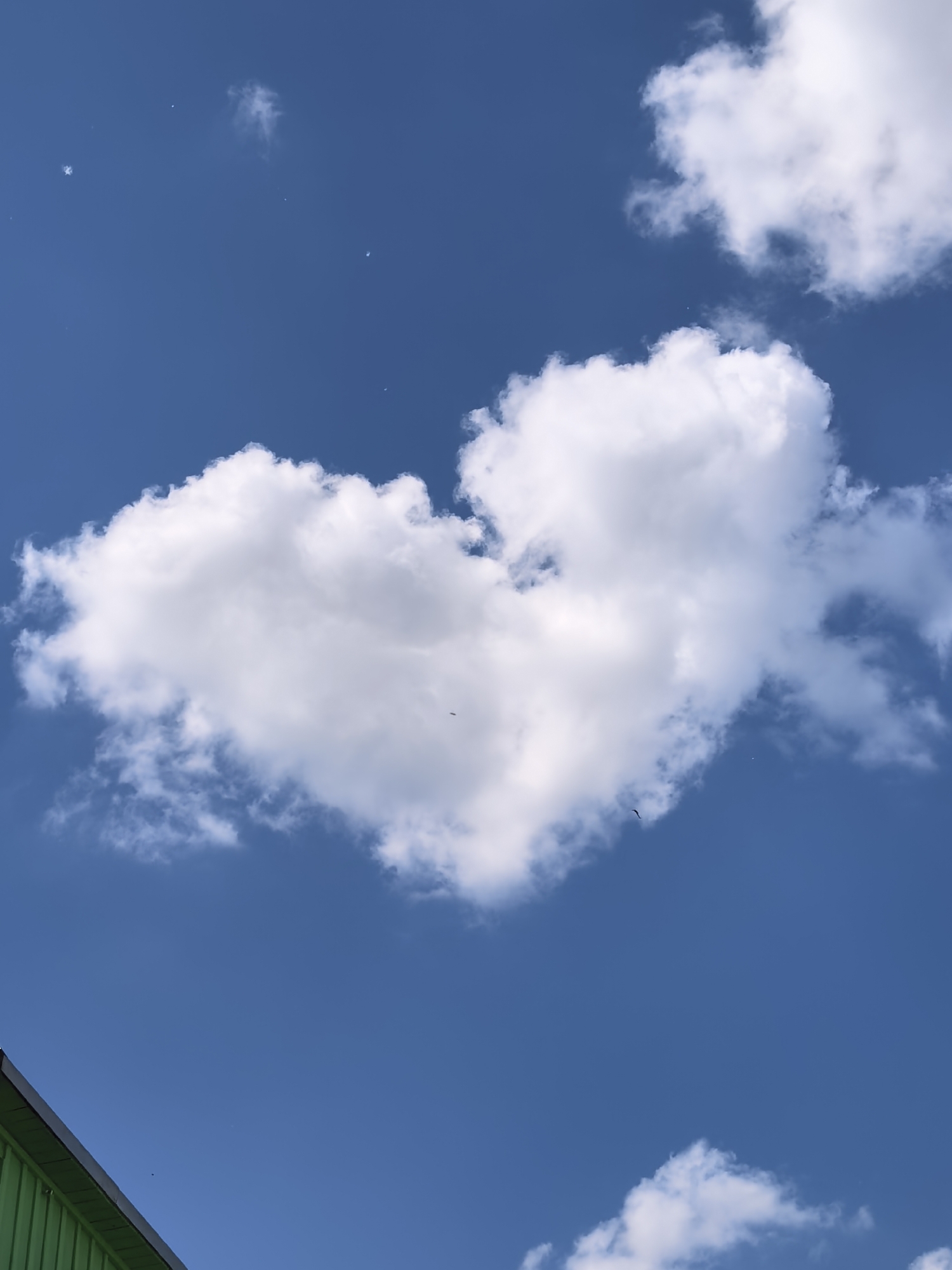 A heart-shaped cloud is the focal point of this low-angle outdoor shot against a clear blue sky. The cloud is white and puffy with a defined heart shape. Smaller, scattered white clouds are visible throughout the sky. In the lower left corner, the edge of a bright green building with a dark roof is visible. A black bird is seen in flight in the middle right of the frame. A single small star is visible in the upper left corner of the sky. The image was taken in Unknown, Unknown.