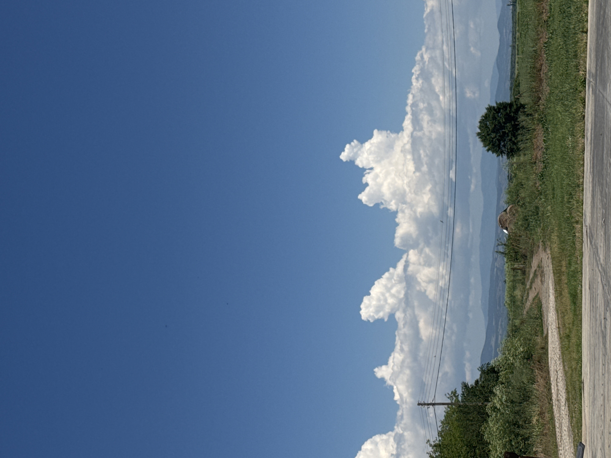 The image shows a landscape, with a large expanse of clear blue sky taking up the left side. White, puffy clouds stretch along the right edge of the sky. Below the clouds, the scene transitions to a rural landscape, with fields of green grass and crops. A lone tree stands in the middle of the fields. In the distance, there are hints of mountains shrouded in a light haze. Power lines run through the scene. A dirt path can be seen closer to the foreground, beside the vegetation. The location is likely near Sarnevo, Bulgaria, given the prompt's specification. There are no people or subjects directly visible in the image.