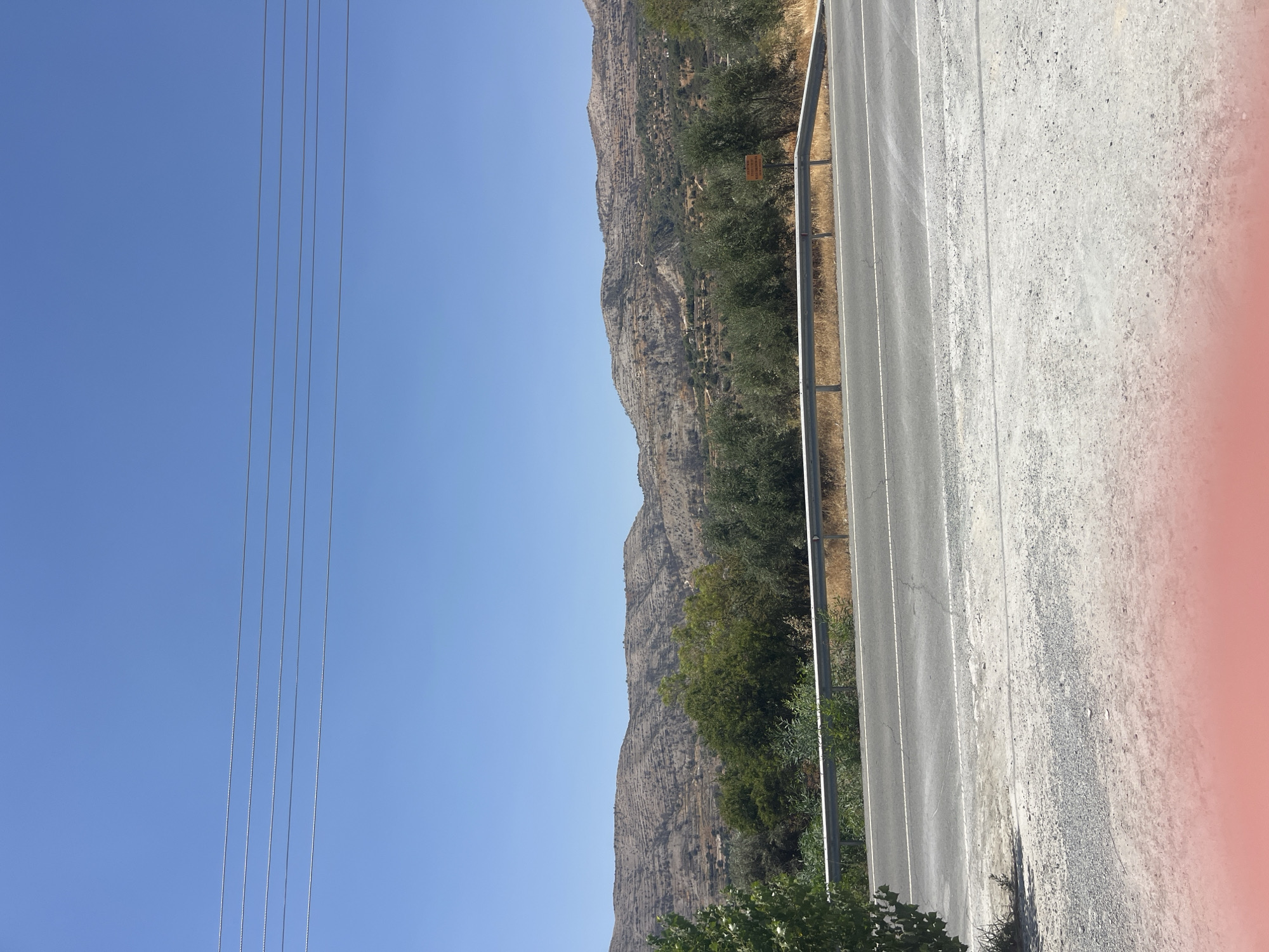 The image depicts a roadside scene in Laneia, Cyprus, under a clear blue sky. A paved road with white lane markings runs horizontally across the mid-ground, bordered by a silver metal guardrail. Beyond the road, a stretch of dry, golden grass leads to a dense line of green trees, predominantly olive trees, which then gives way to a rugged, mountainous landscape. The mountains are characterized by terraced slopes, indicative of agricultural activity, and appear dry and arid. The sky is unobstructed by clouds, and several power lines stretch across the upper portion of the frame. The foreground consists of a gravelly shoulder. A small orange sign with text is visible on the right side of the road, partially obscured by vegetation. There are no people or animals visible in the image. The overall environment suggests a rural, Mediterranean setting.