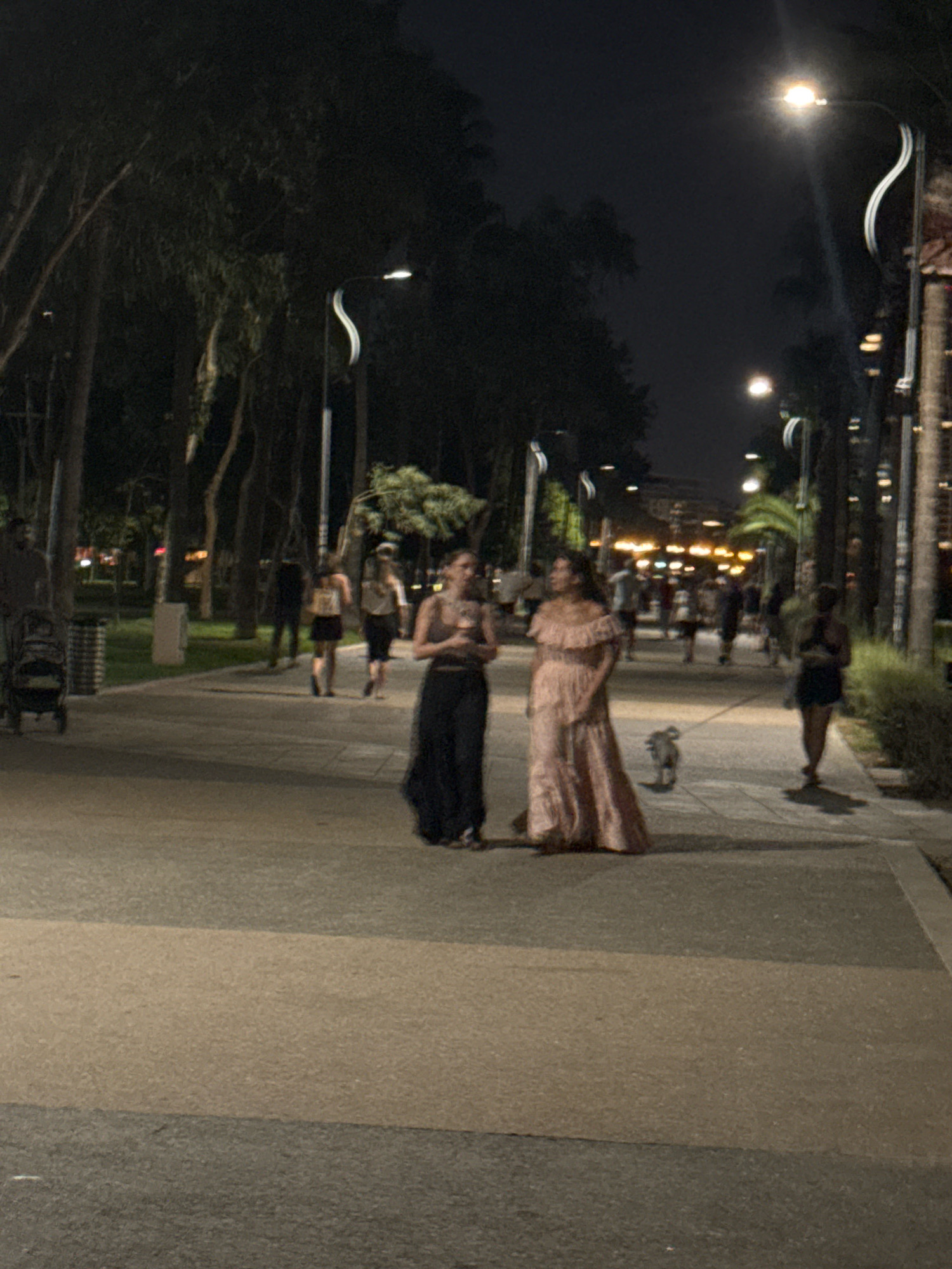 At nighttime, people walk along a wide, paved pedestrian walkway lined with trees and streetlights. Two women are in the foreground; one on the left wears a dark, flowing skirt and a dark top, while the other on the right is in a long, ruffled pink dress. A small dog on a leash is walking beside the woman in the pink dress. In the background, more people are visible walking in the distance, and lights from buildings can be seen. The scene appears to be a public promenade, possibly in a city park or along a waterfront, illuminated by the streetlights. The specific location is the Molos promenade in Limassol, Cyprus, a popular seaside promenade known for its trees, pedestrian paths, and streetlights.