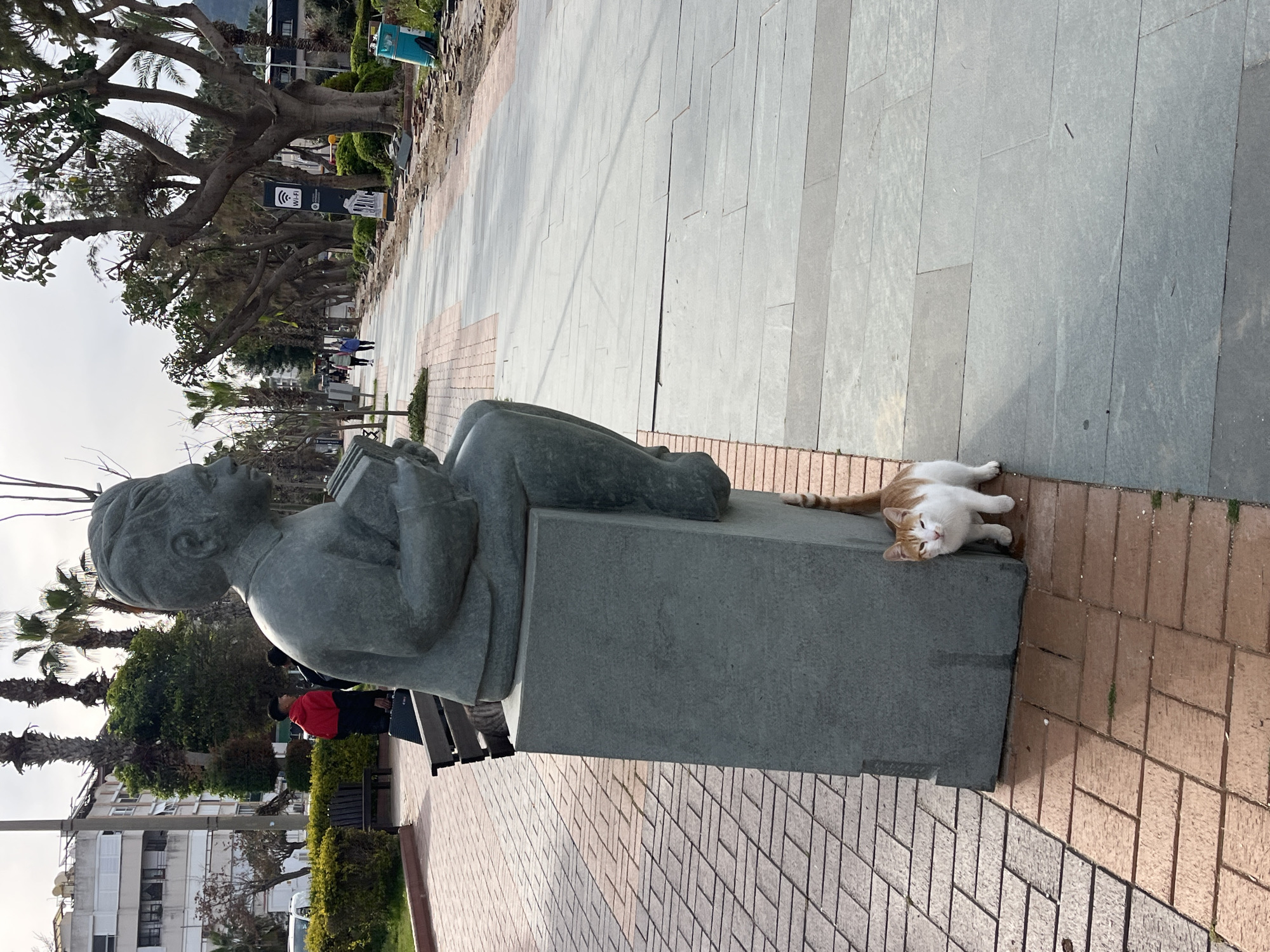 A statue of a seated person, apparently reading a book, is in the foreground on a paved walkway. A white and orange cat lies on the ground beside the base of the statue. In the background, there is a street with buildings, trees, and a few people walking. There is a WIFI sign. The scene is in Alanya, Turkey.