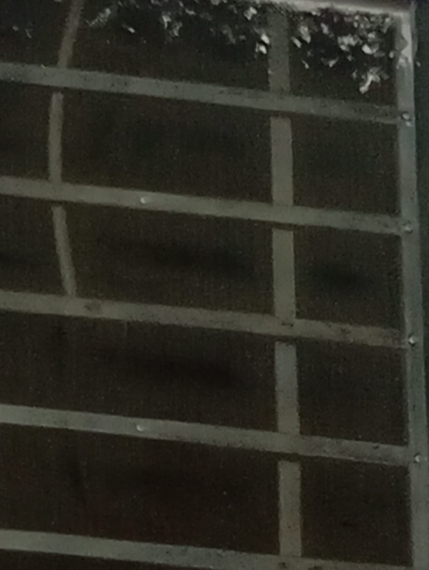 The image shows a close-up view of a dark, brick wall with horizontal and vertical white lines that appear to be painted or chalked. The bricks themselves are not clearly visible due to the low light and focus, but the texture suggests they are rough. Some debris is visible along the top edge of the wall. There are no people or clear objects in the frame. The scene is indoors or outdoors, but the lighting suggests it is a dimly lit environment. The location within the city of Lassan, Pakistan cannot be determined from this image alone.