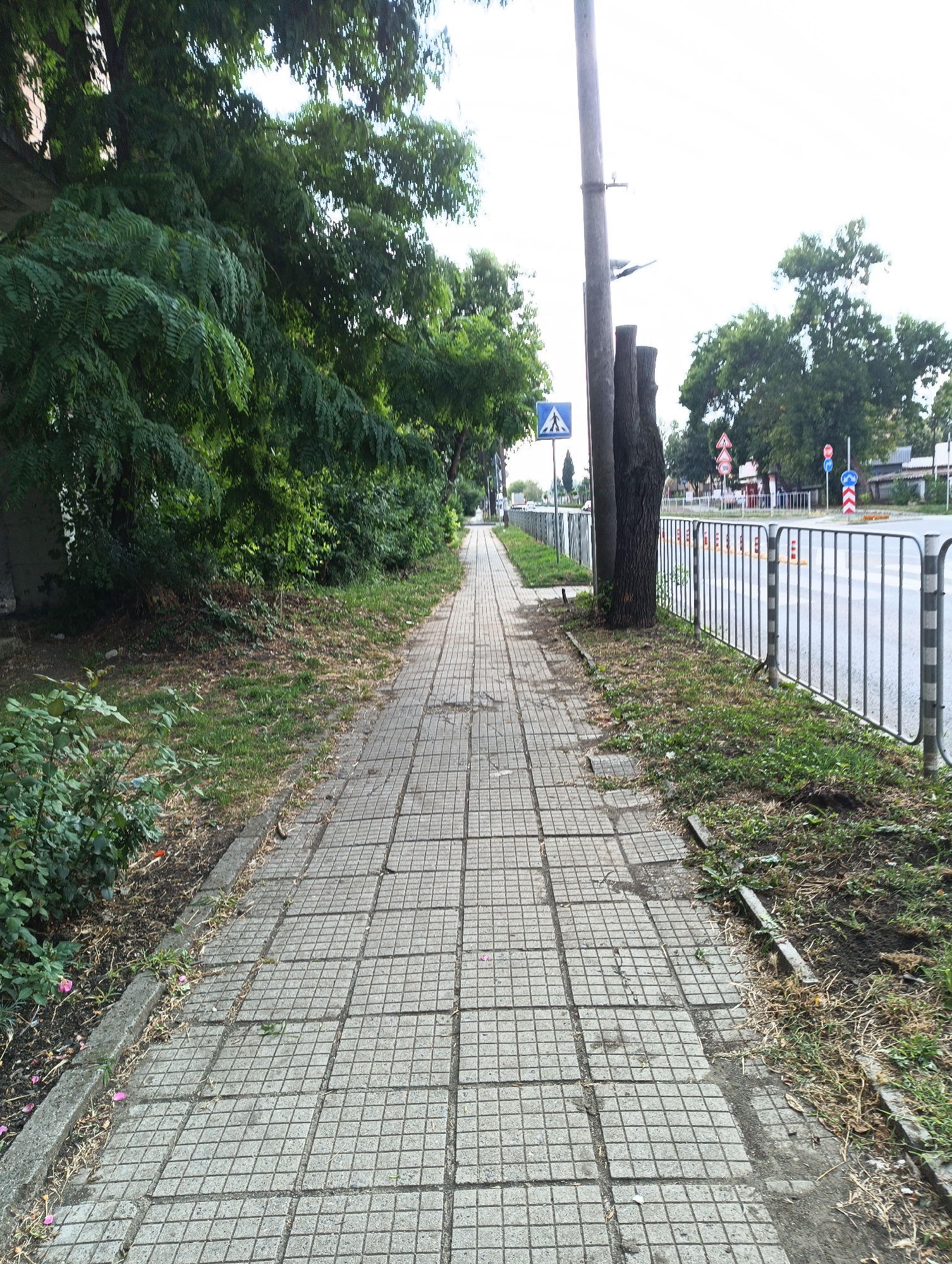 The image depicts a paved sidewalk running alongside a road in Karnobat, Bulgaria. The sidewalk is constructed of square concrete tiles, with a grassy verge and a metal fence separating it from the road. Mature trees with dense green foliage line the left side of the sidewalk. Traffic signs, including a pedestrian crossing sign and a circular speed limit sign, are visible in the distance. The sky is overcast, suggesting a cloudy day. No people or vehicles are clearly visible in the immediate foreground.