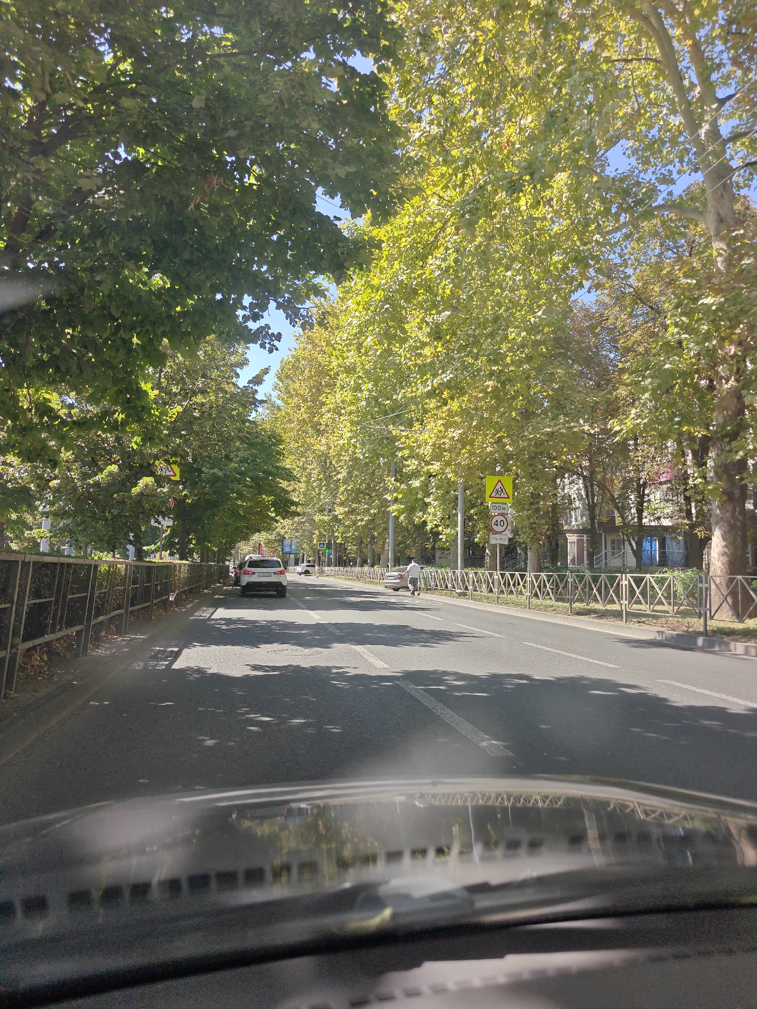 The image depicts a street scene in Krasnodar, Russia, on a sunny day. The perspective is from inside a vehicle, looking forward through the windshield. The road is paved with asphalt and has lane markings. On the left side of the road, there is a metal fence and a sidewalk with fallen leaves. Large trees with green and yellow foliage line the street, casting shadows on the road. Several cars are visible on the road, including a white SUV. Traffic signs are present, including a speed limit sign of 40 km/h and a pedestrian crossing warning sign. Buildings can be seen in the background behind the trees. There is a person walking on the sidewalk on the left. The overall impression is that of a tree-lined urban street.