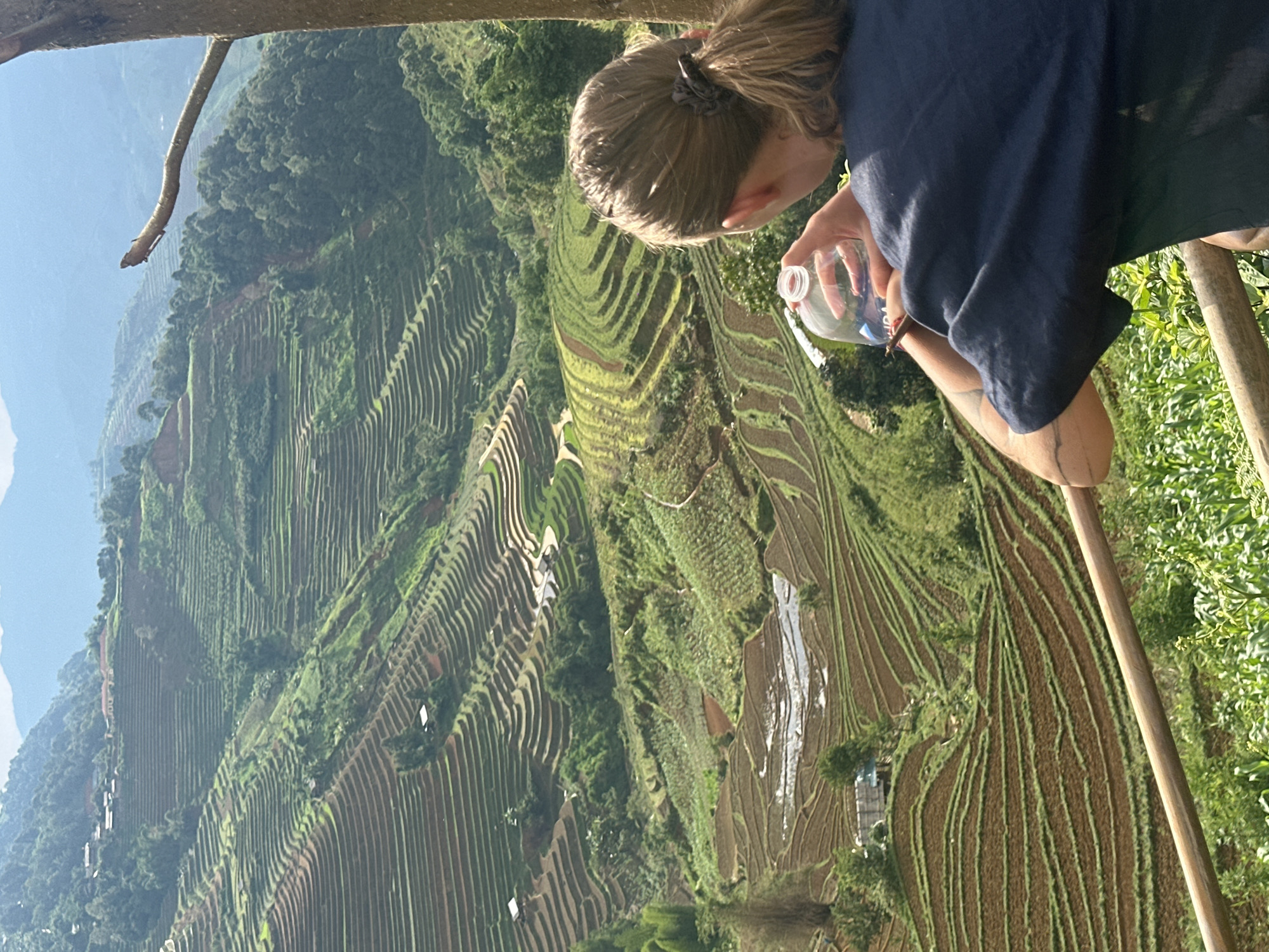 The media file presents an aerial-like view of vast, verdant rice terraces carved into a mountainous landscape in Lao Chai, Vietnam. In the foreground, a person is visible from the back and side, leaning over a wooden railing or pole, looking out over the expansive scene. The person has light brown hair tied in a ponytail and is wearing a dark blue shirt. They are holding a clear plastic water bottle in their right hand, appearing to be drinking from it or preparing to.
The terraced fields dominate the midground and background, showcasing various stages of cultivation. Some terraces are lush green with growing plants, while others appear as reddish-brown earth, possibly recently tilled or harvested. Patches of these fields contain standing water, reflecting the bright sky. The intricate patterns of the terraces follow the contours of the steep hillsides, extending deep into the valley and up distant slopes. Mountains partially obscured by a light haze are visible in the far background.
The lighting suggests bright daylight, likely late morning or afternoon, with clear weather conditions. A tree branch extends into the frame from the top left, and green foliage, possibly corn plants, is visible along the right edge of the frame, near the wooden railing. No discernible text is visible on any objects in the image. The scene conveys a sense of scale, natural beauty, and agricultural industriousness.