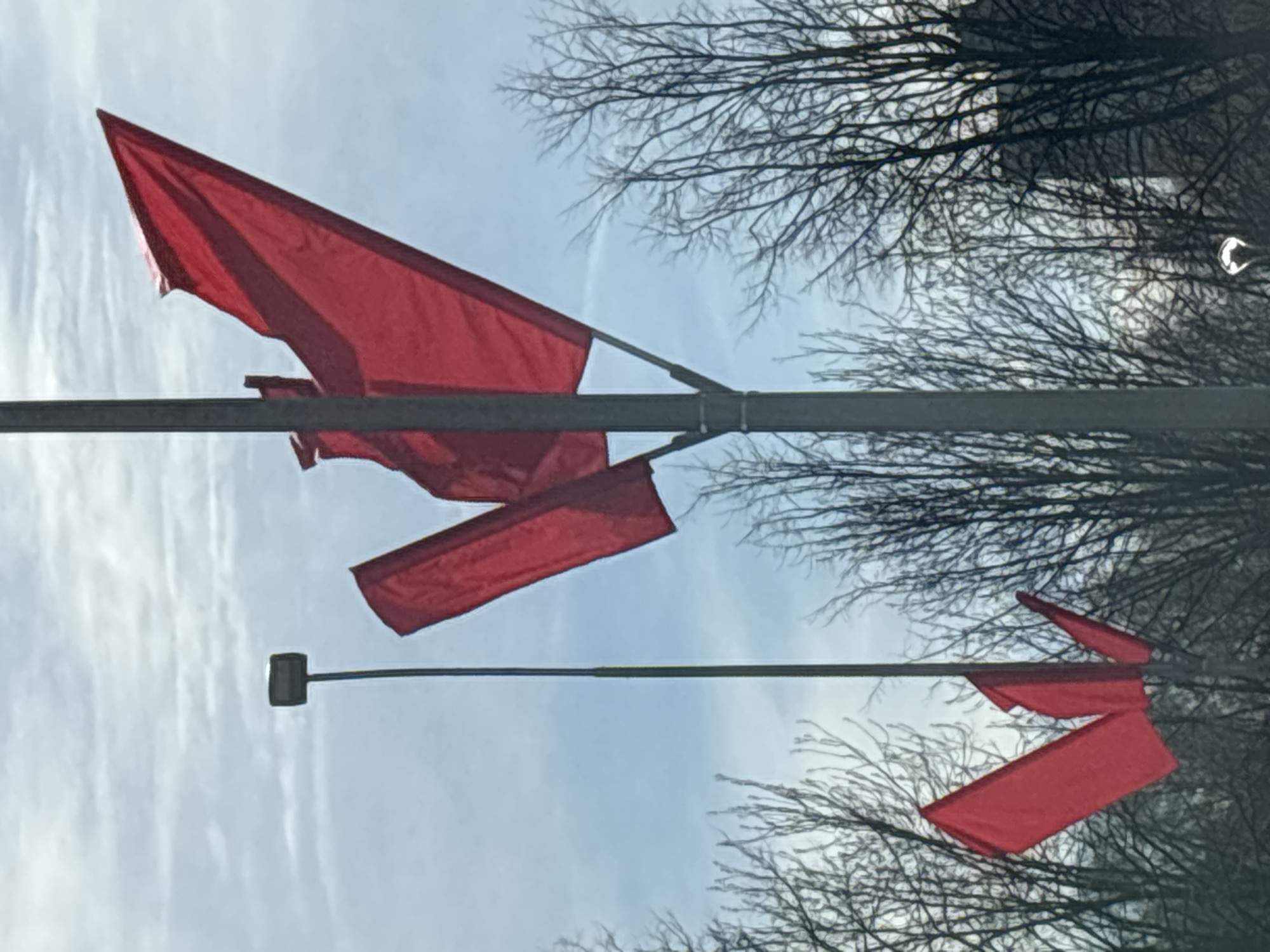 The image, rotated vertically, captures an outdoor scene dominated by several red flags or pennants against a cloudy sky and bare tree branches. Two dark-colored utility poles or lampposts are visible. The prominent pole stretches horizontally across the upper-mid section of the frame, from which multiple red flags hang downwards. These flags are made of fabric, appear to be blowing slightly in the wind, creating soft folds and movement, and have pointed or triangular ends, with some pieces appearing more rectangular. A second, thinner pole is seen further in the background, towards the lower right, also adorned with similar red flags.
The sky is a light blue-grey, suggesting an overcast or cloudy daytime. Numerous dark, intricate silhouettes of bare tree branches are scattered across the background, particularly in the upper and lower right portions of the frame, indicating a season without foliage, such as winter or early spring. No specific activity or event beyond the flags fluttering is depicted. There are no people, animals, or visible text. The setting appears to be a public area where flags are displayed.